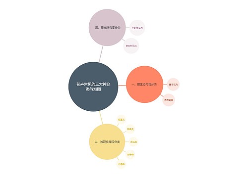 花卉常见的三大种分类气泡图
