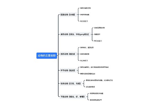 动物的主要类群﻿
