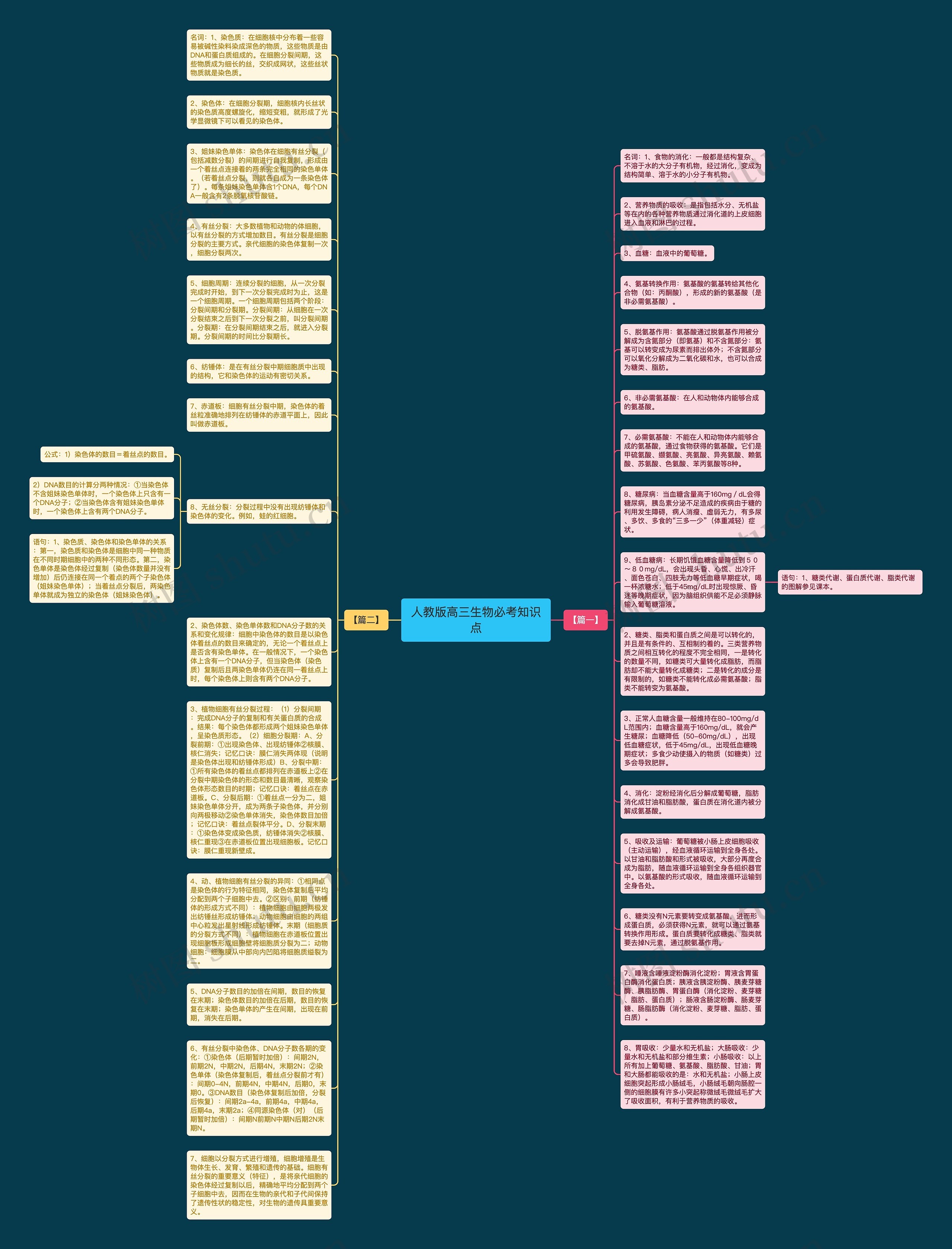 人教版高三生物必考知识点思维导图