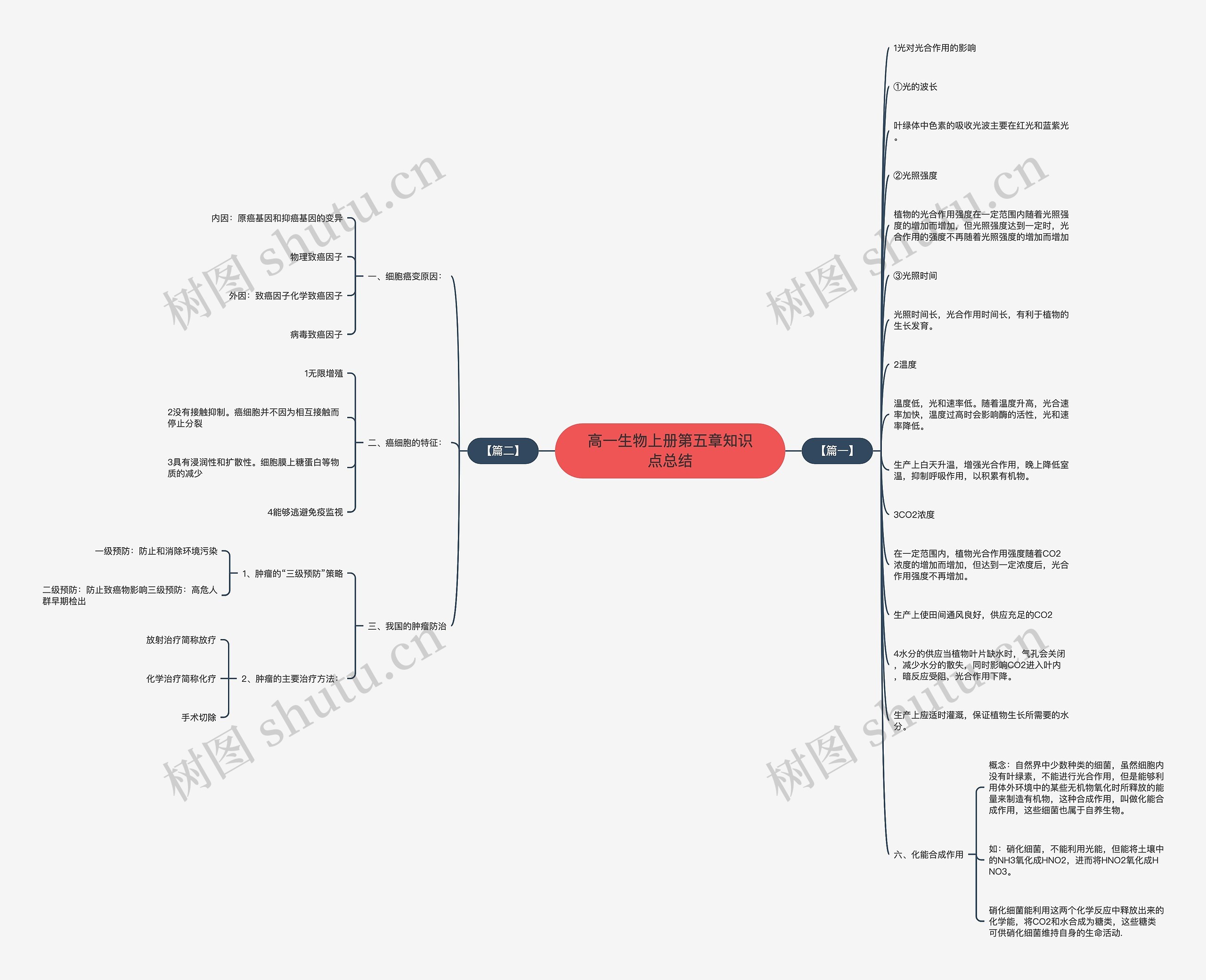 高一生物上册第五章知识点总结思维导图