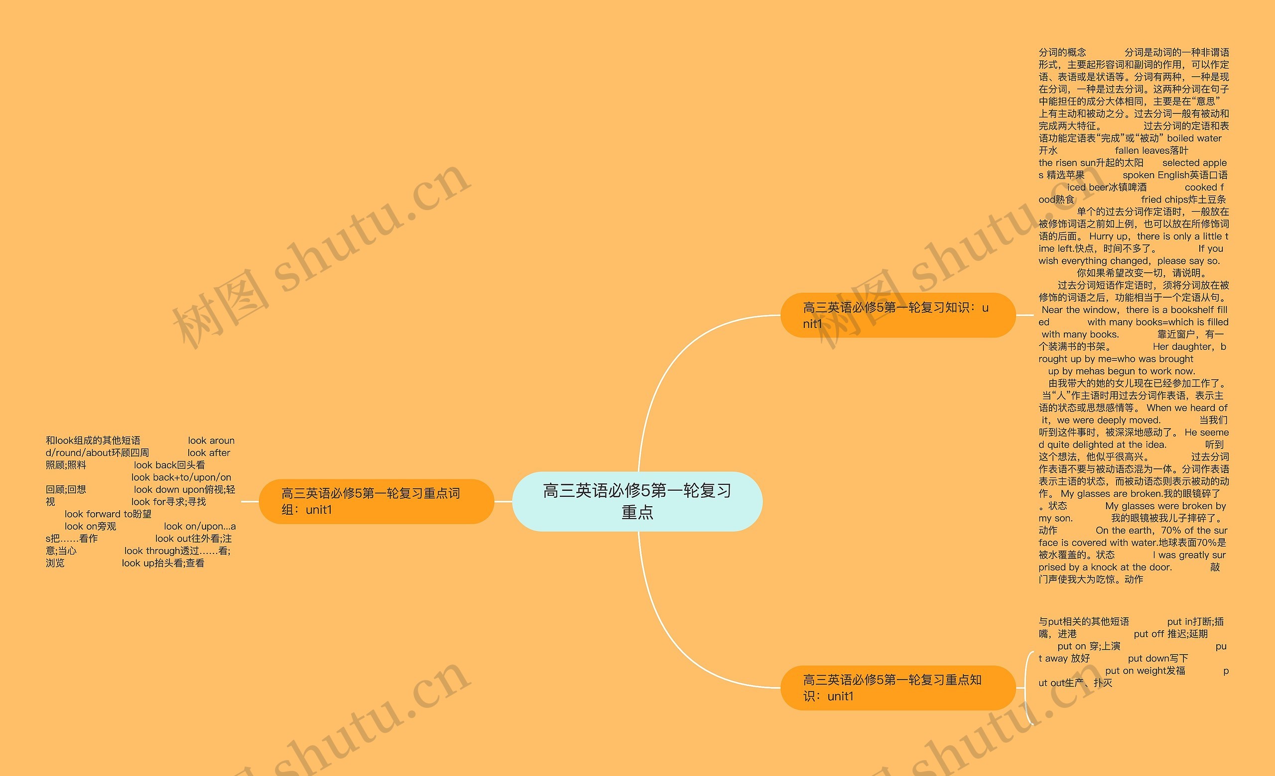 高三英语必修5第一轮复习重点