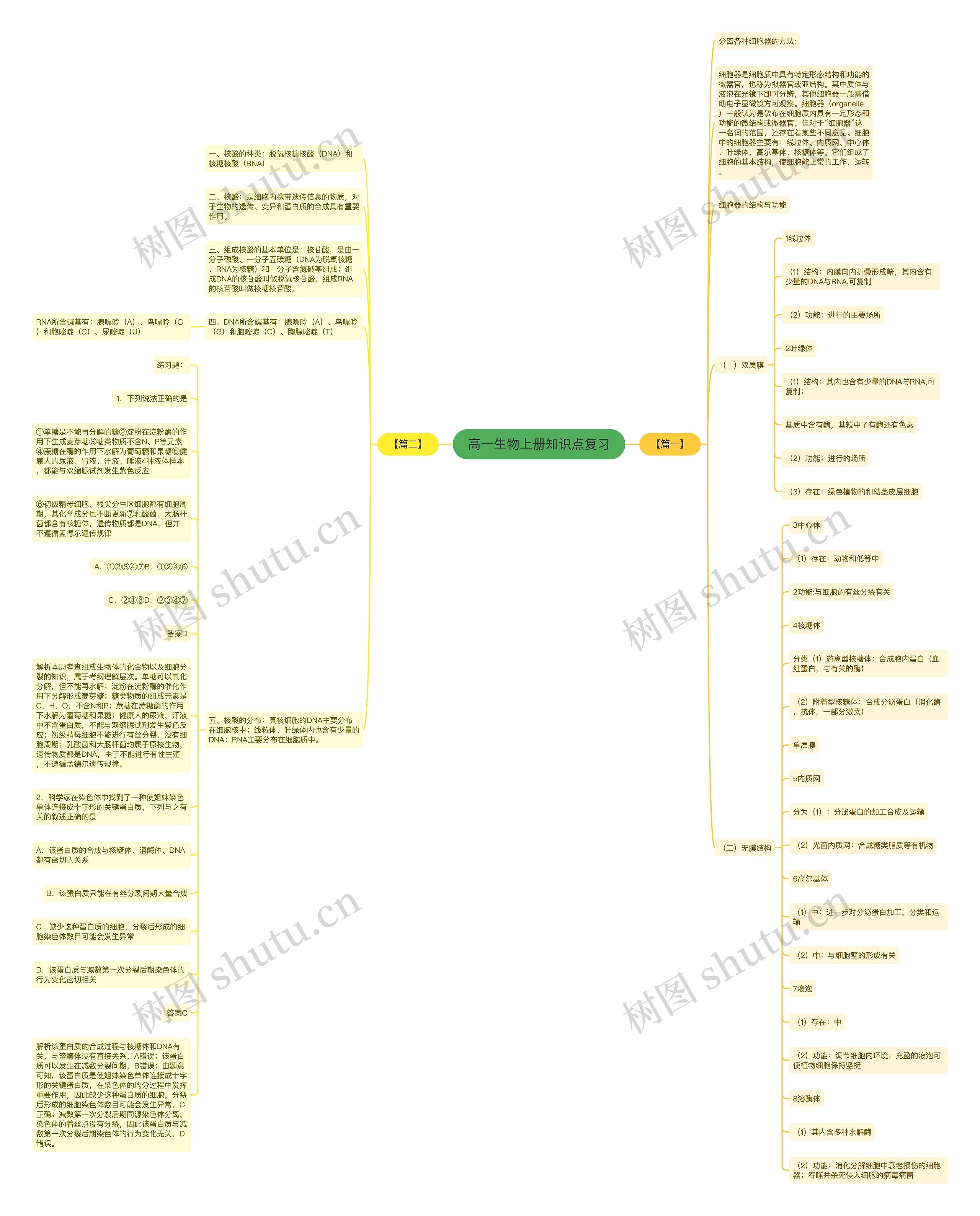 高一生物上册知识点复习思维导图