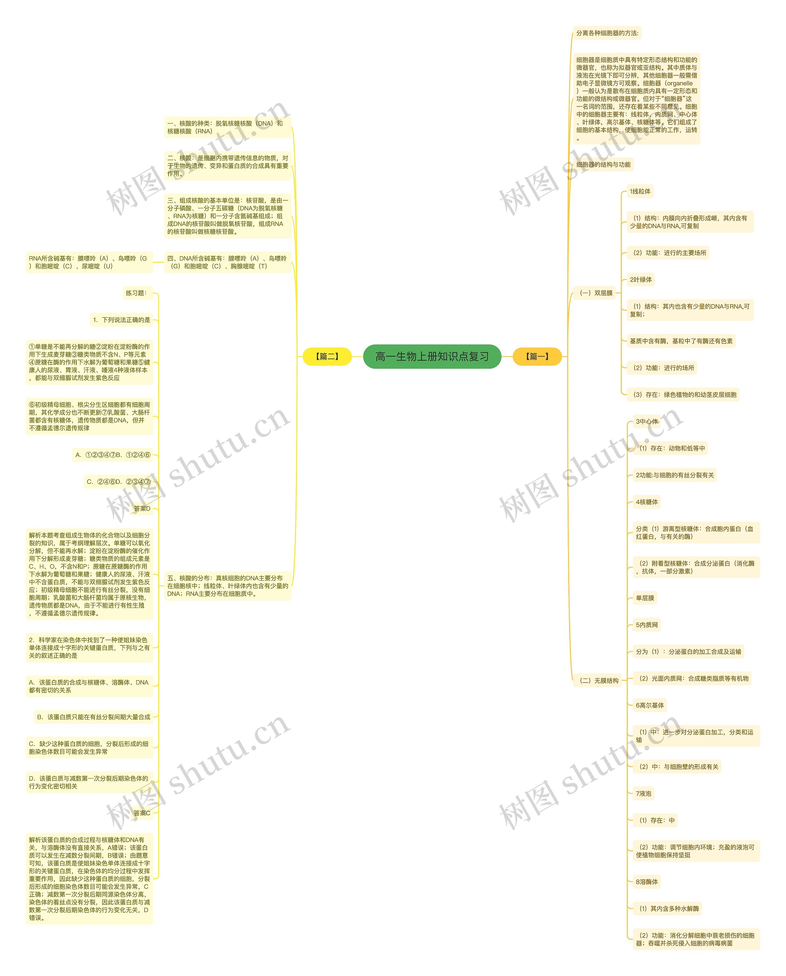 高一生物上册知识点复习思维导图高清图 高一生物上册知识点复习思维导图