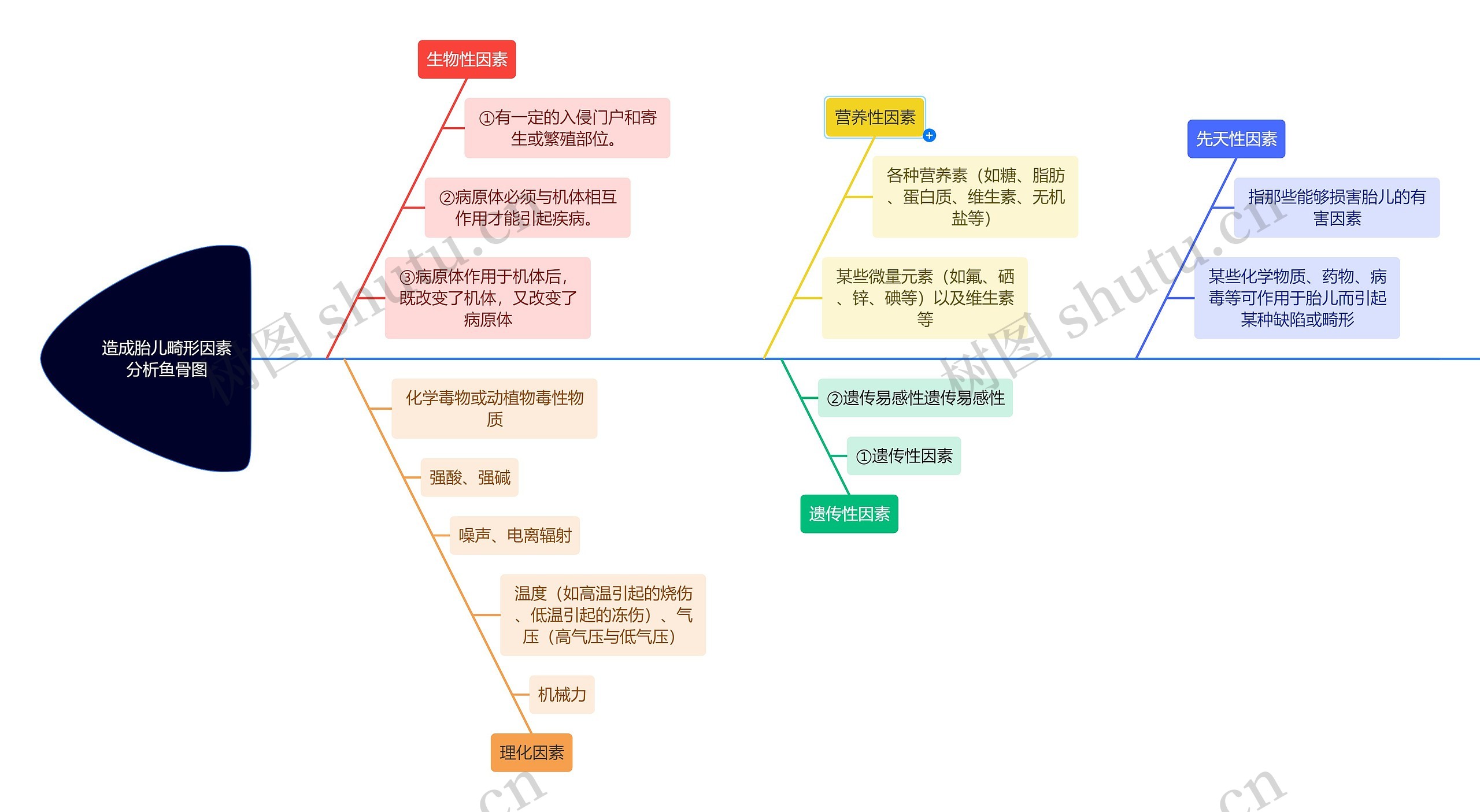 造成胎儿畸形因素分析鱼骨图