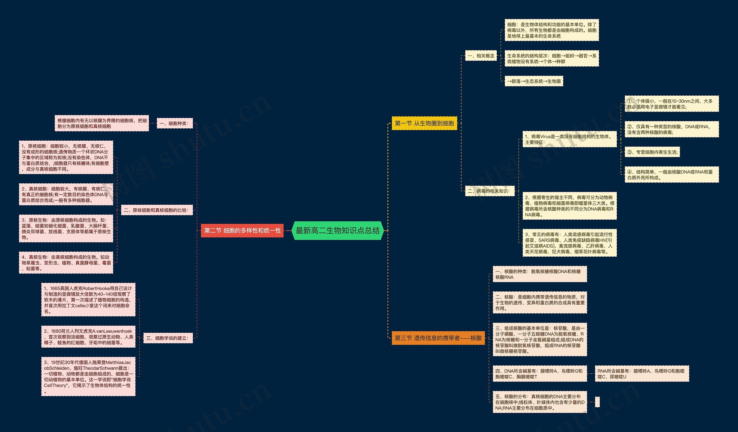 最新高二生物知识点总结思维导图