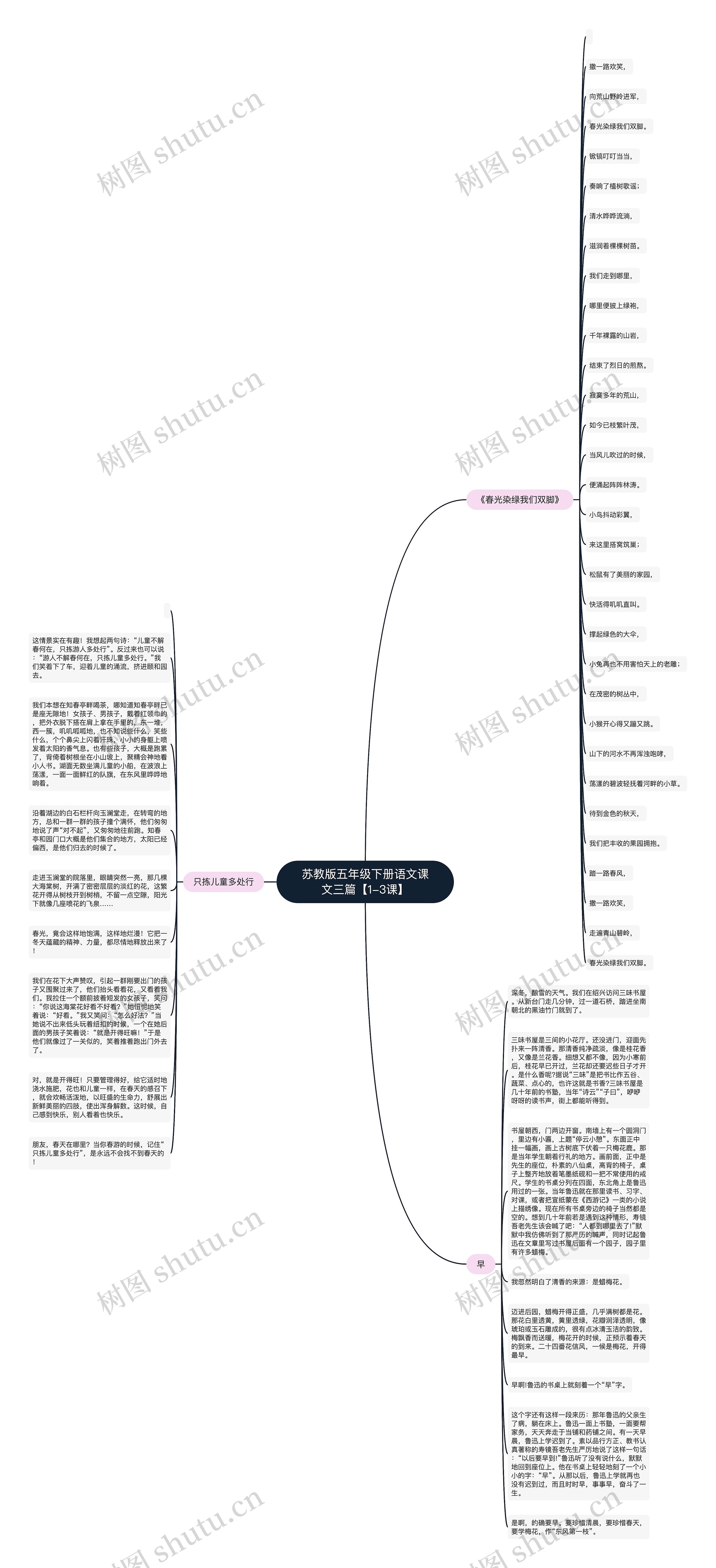 苏教版五年级下册语文课文三篇【1-3课】思维导图
