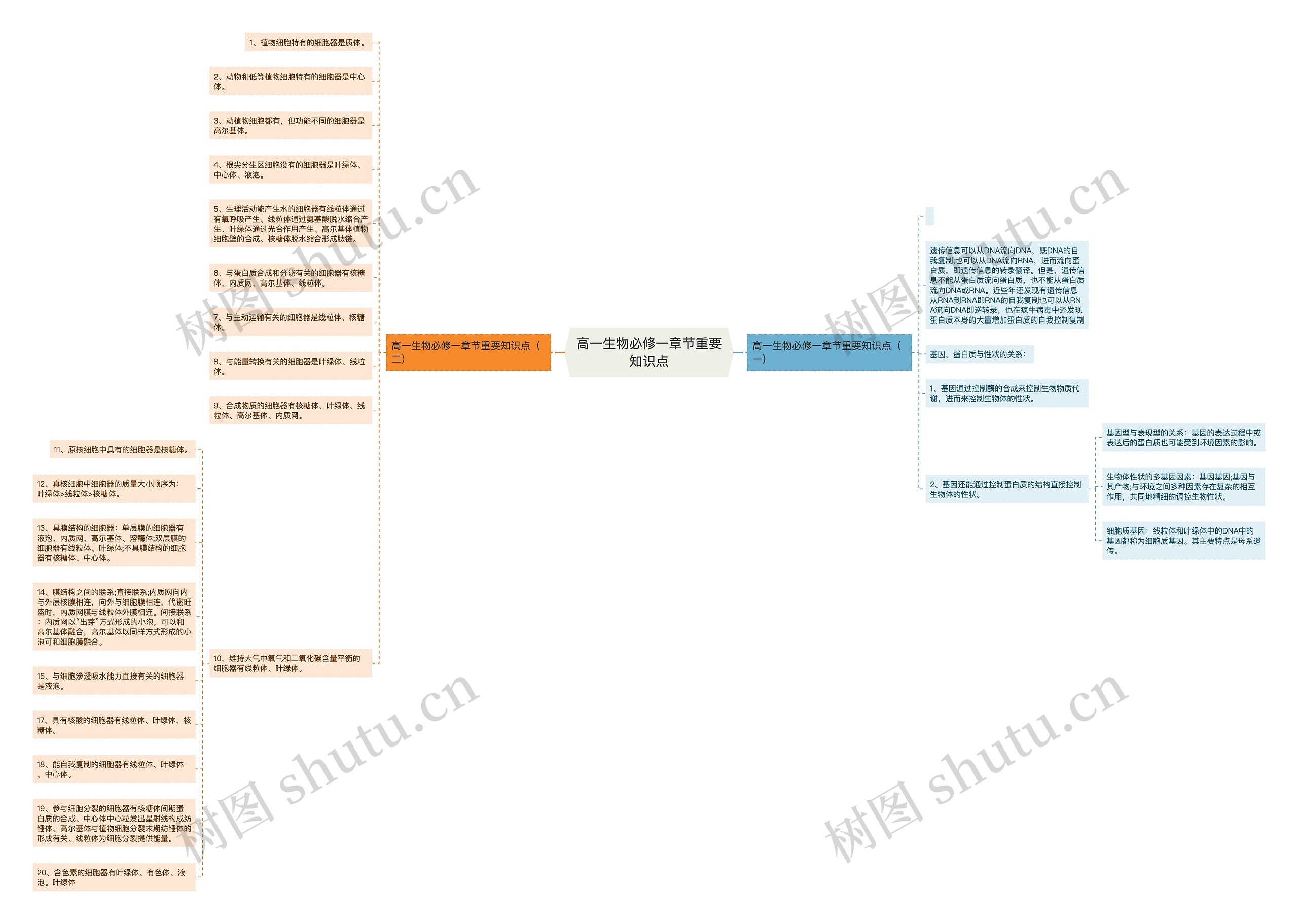 高一生物必修一章节重要知识点思维导图