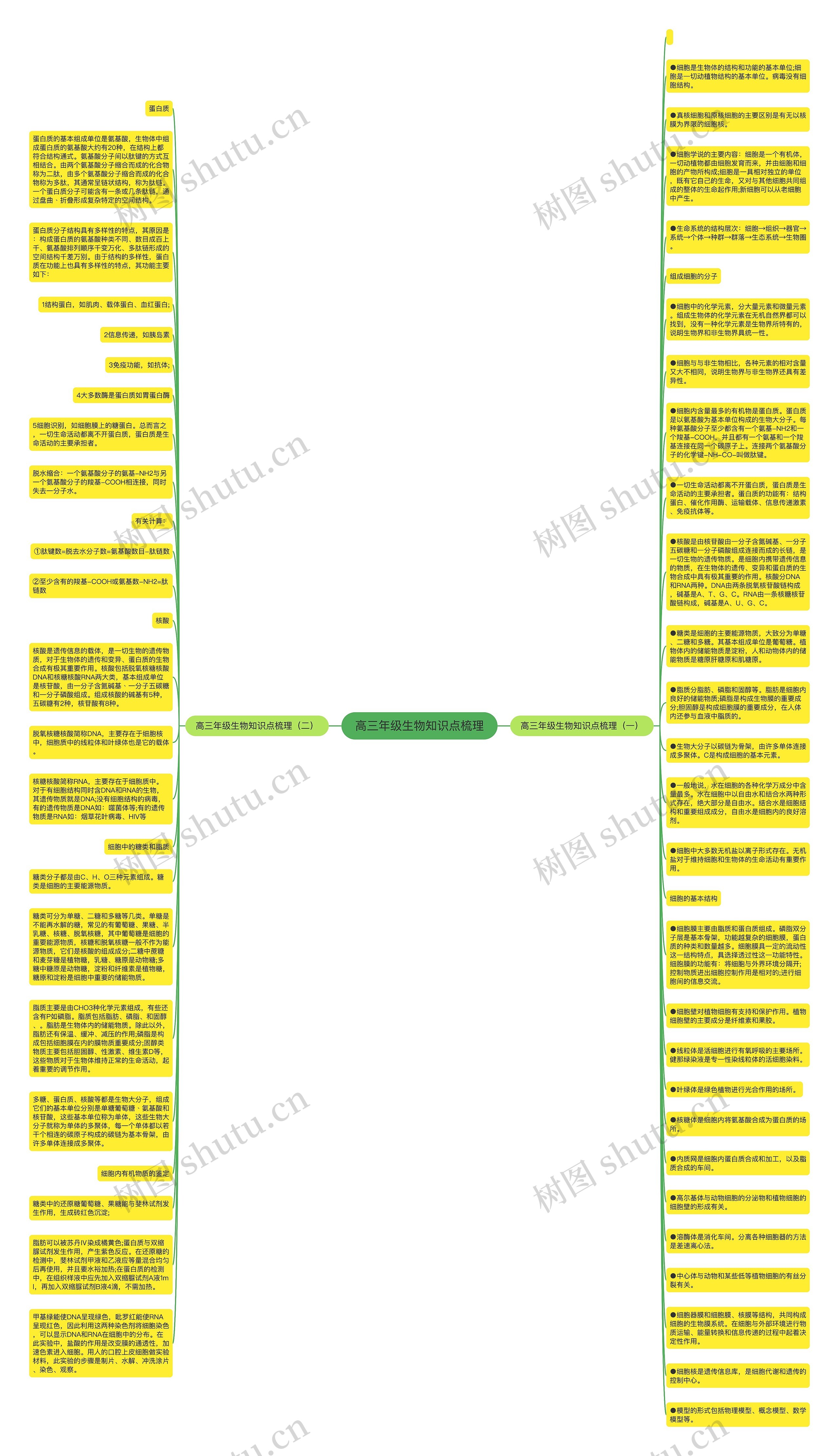 高三年级生物知识点梳理思维导图