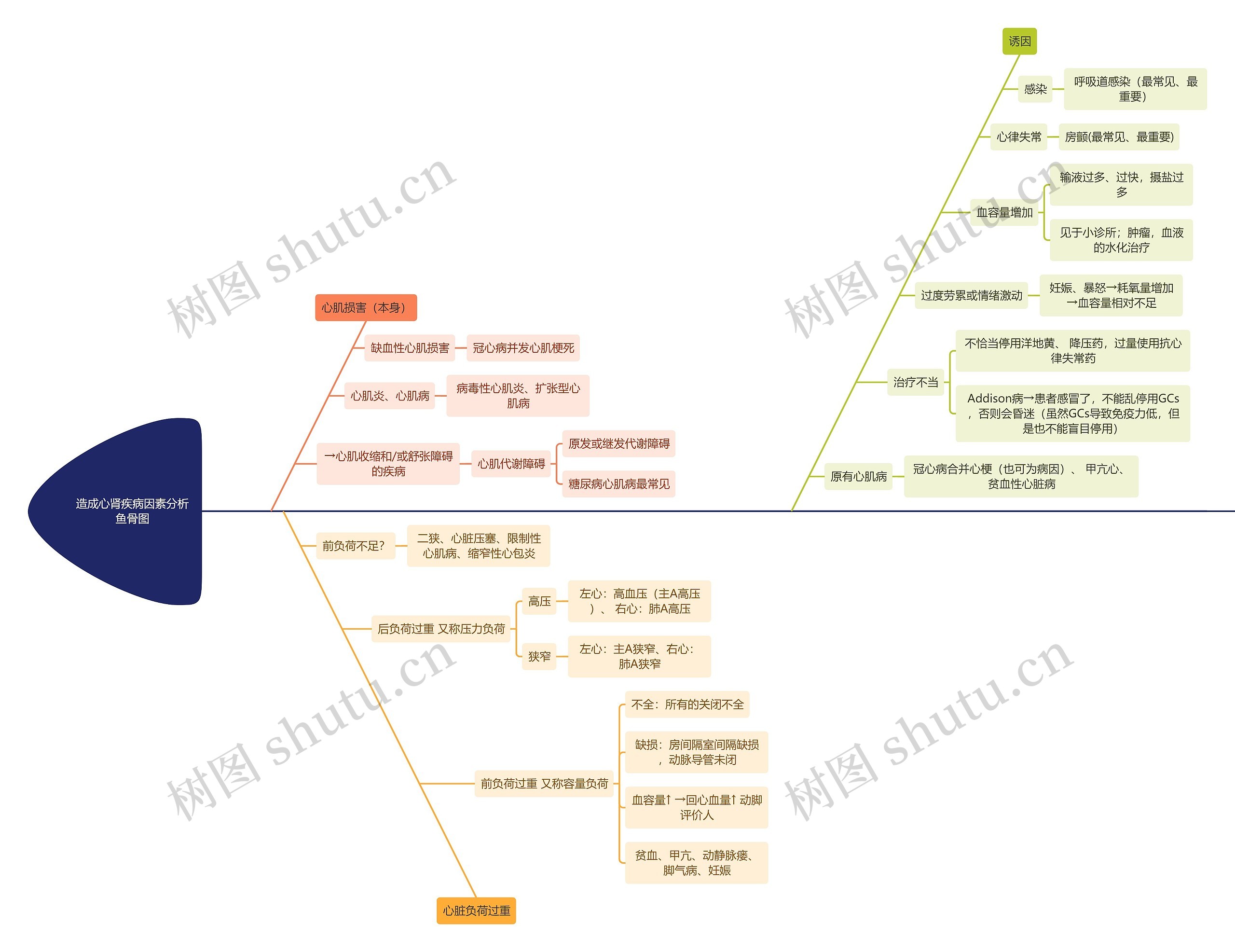 造成心肾疾病因素分析鱼骨图