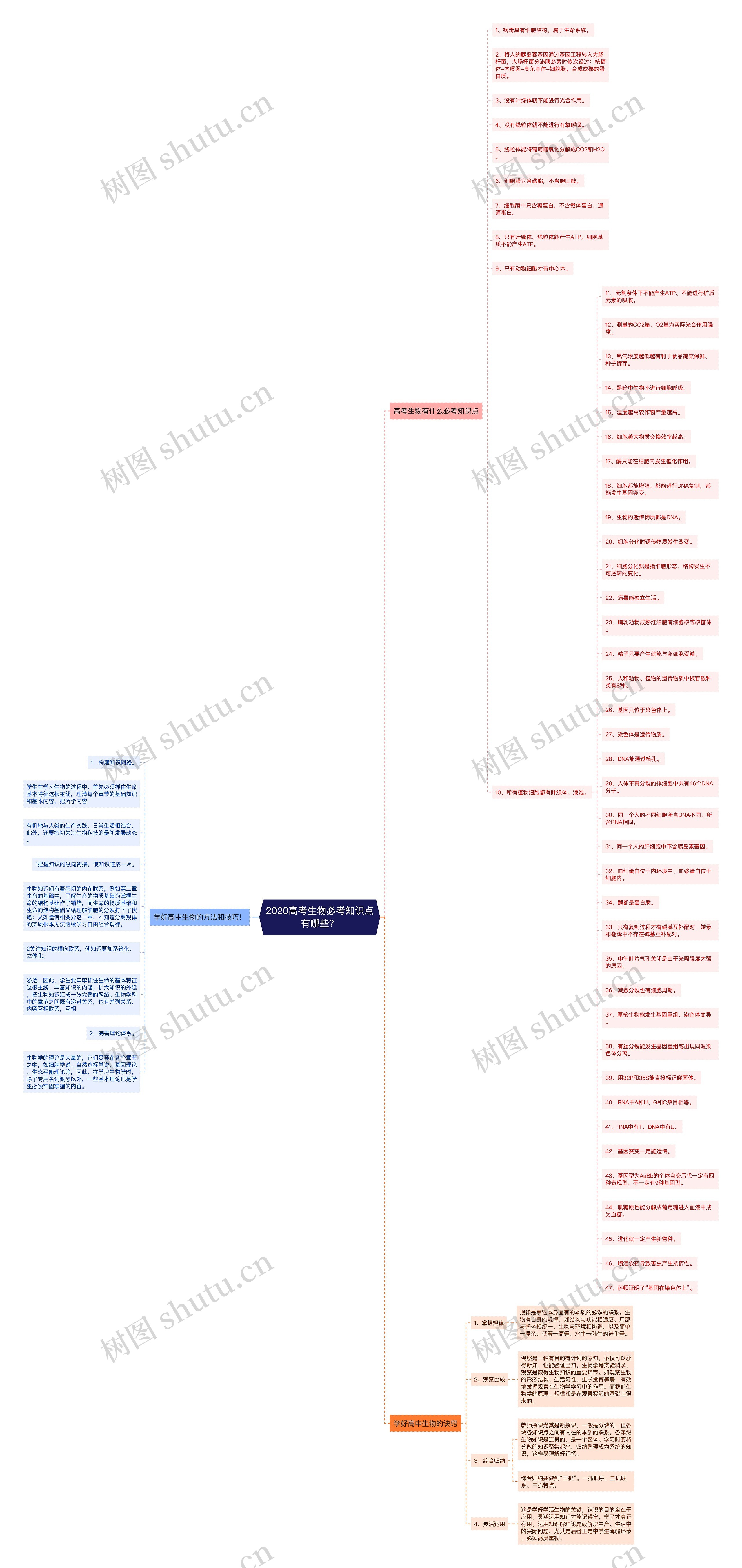 2020高考生物必考知识点有哪些？思维导图