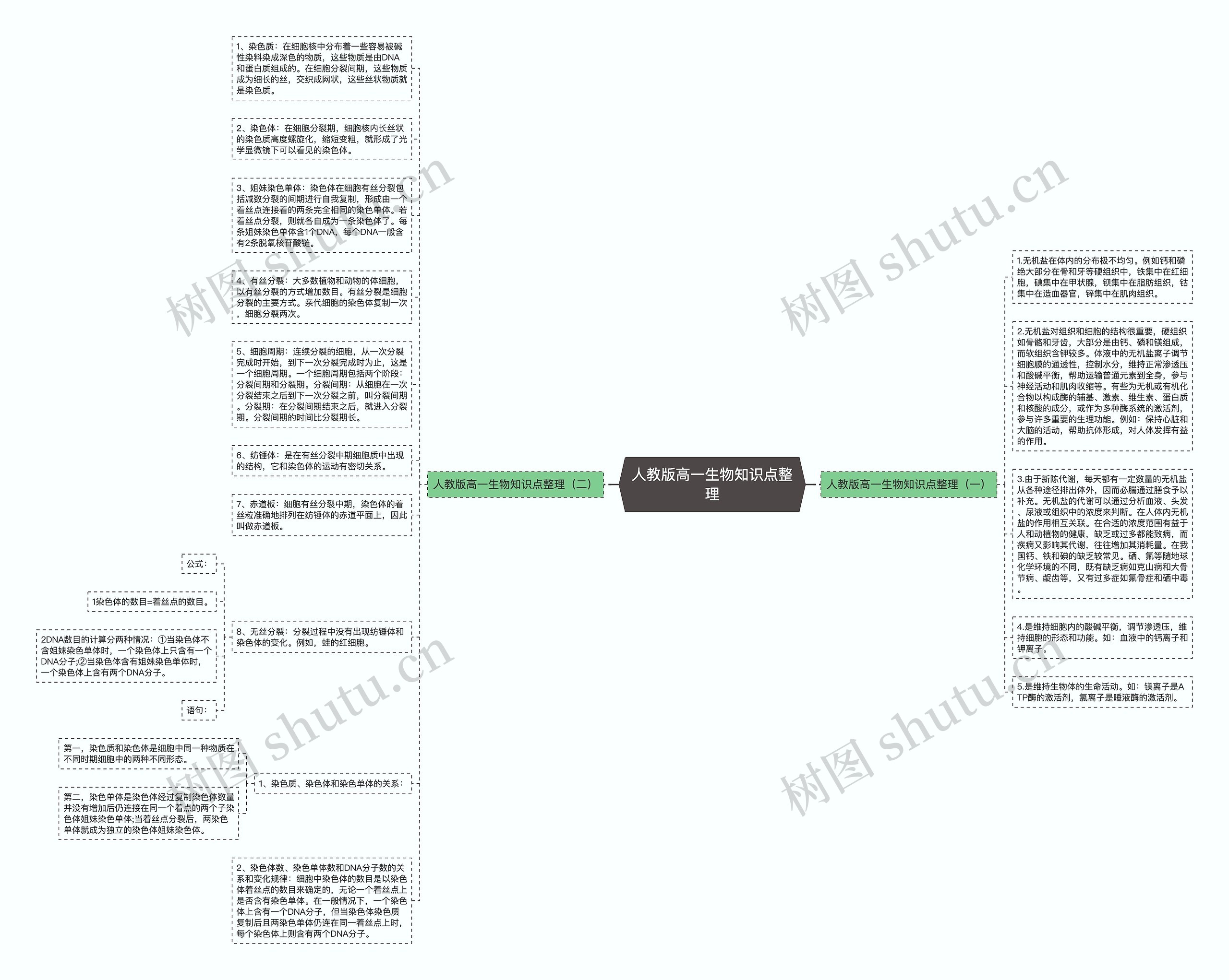 人教版高一生物知识点整理思维导图