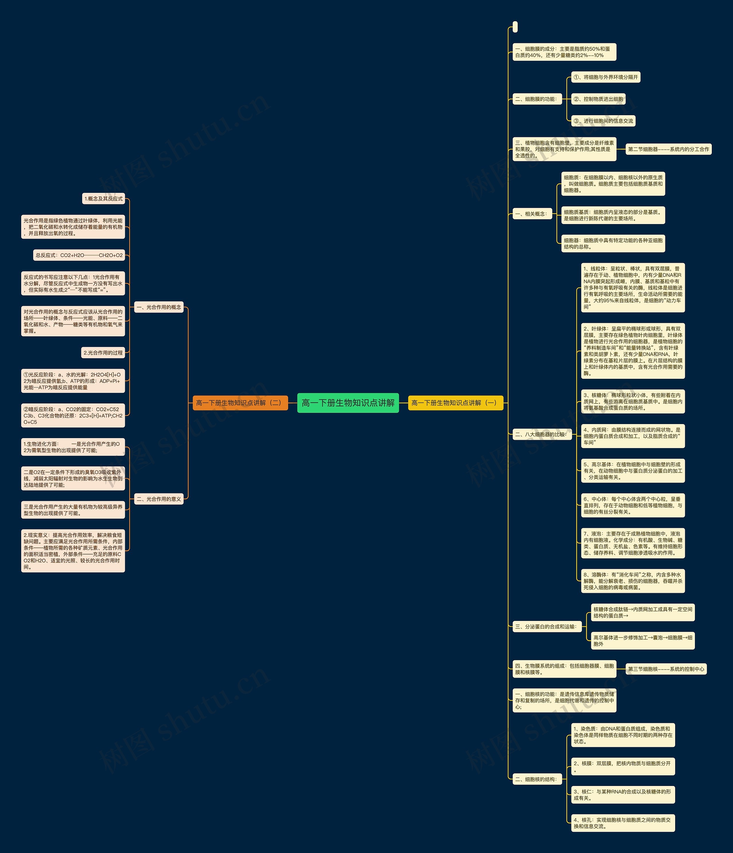高一下册生物知识点讲解思维导图