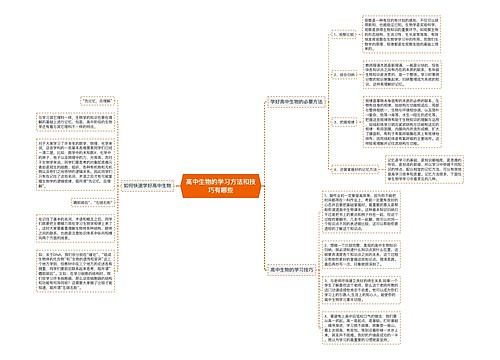 高中生物的学习方法和技巧有哪些