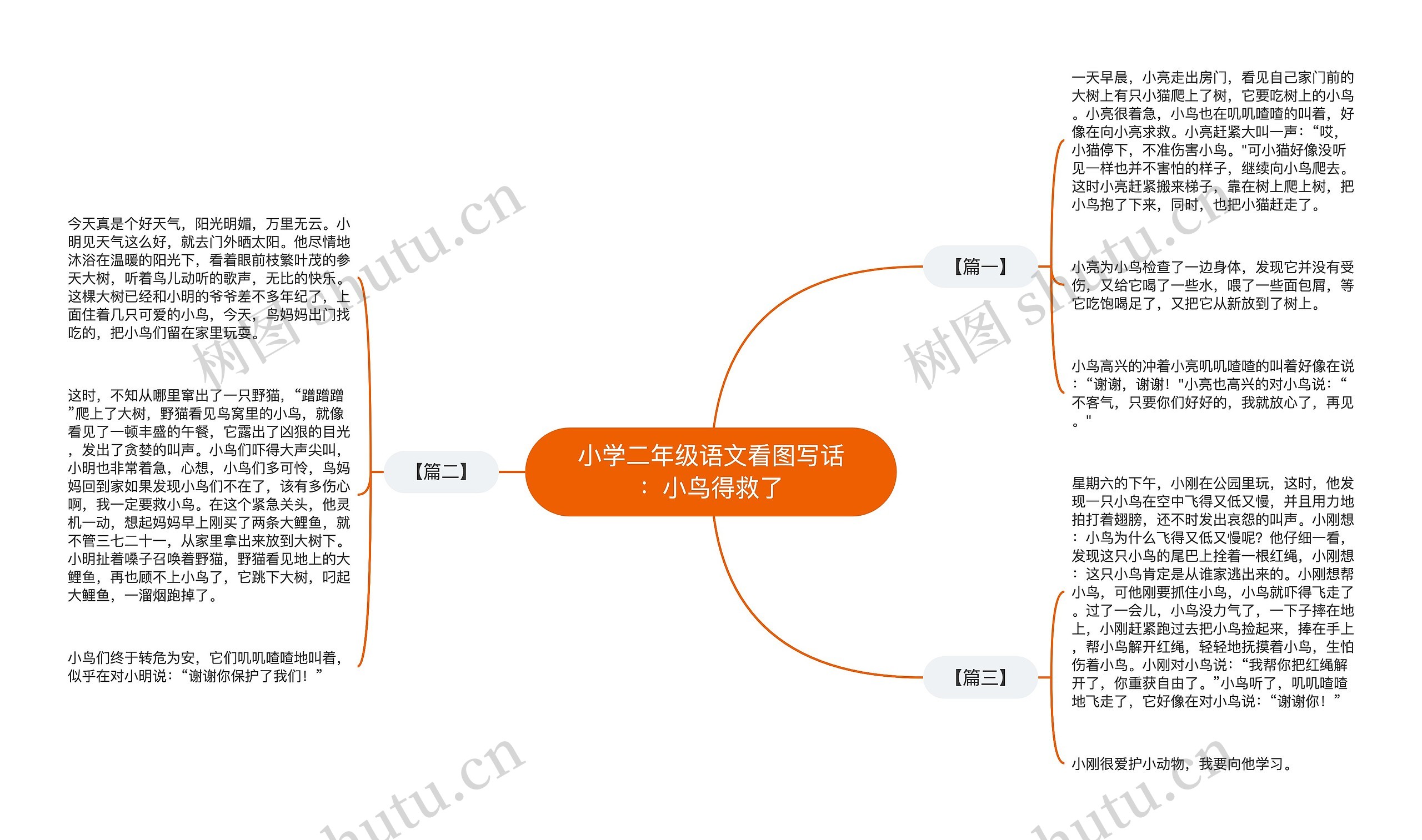 小学二年级语文看图写话：小鸟得救了