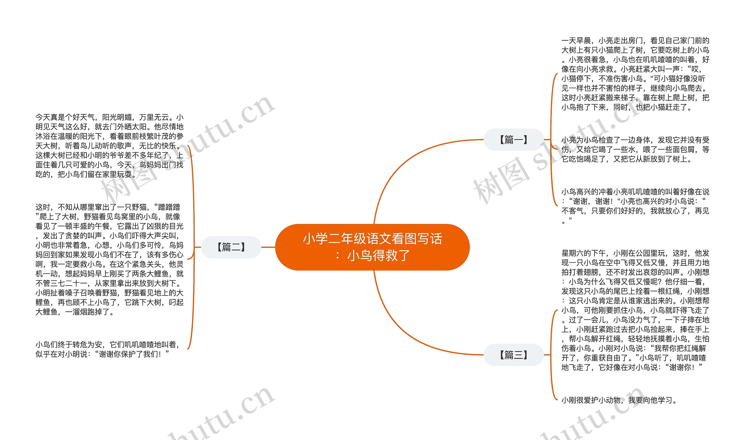 小学二年级语文看图写话：小鸟得救了思维导图