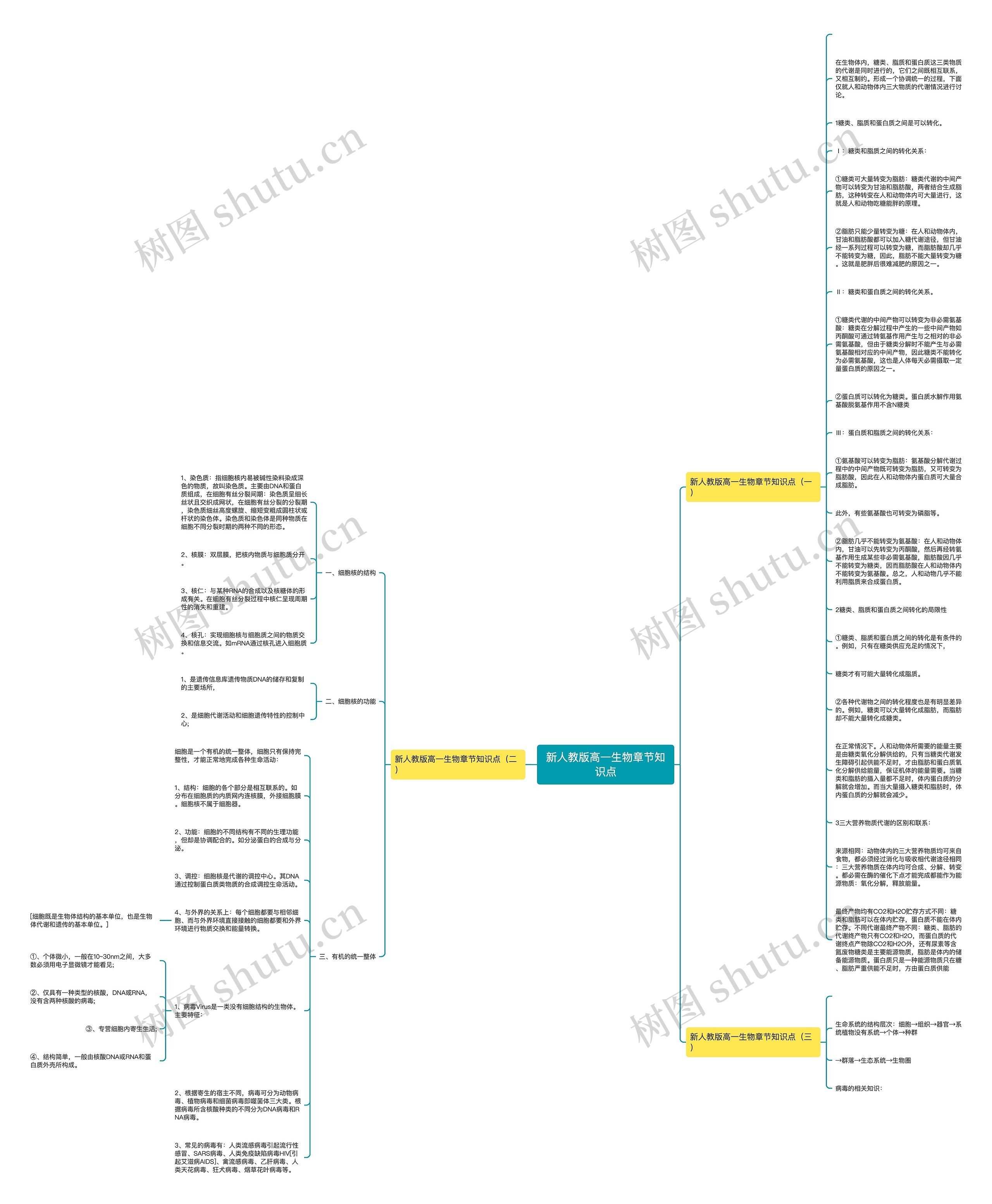 新人教版高一生物章节知识点思维导图