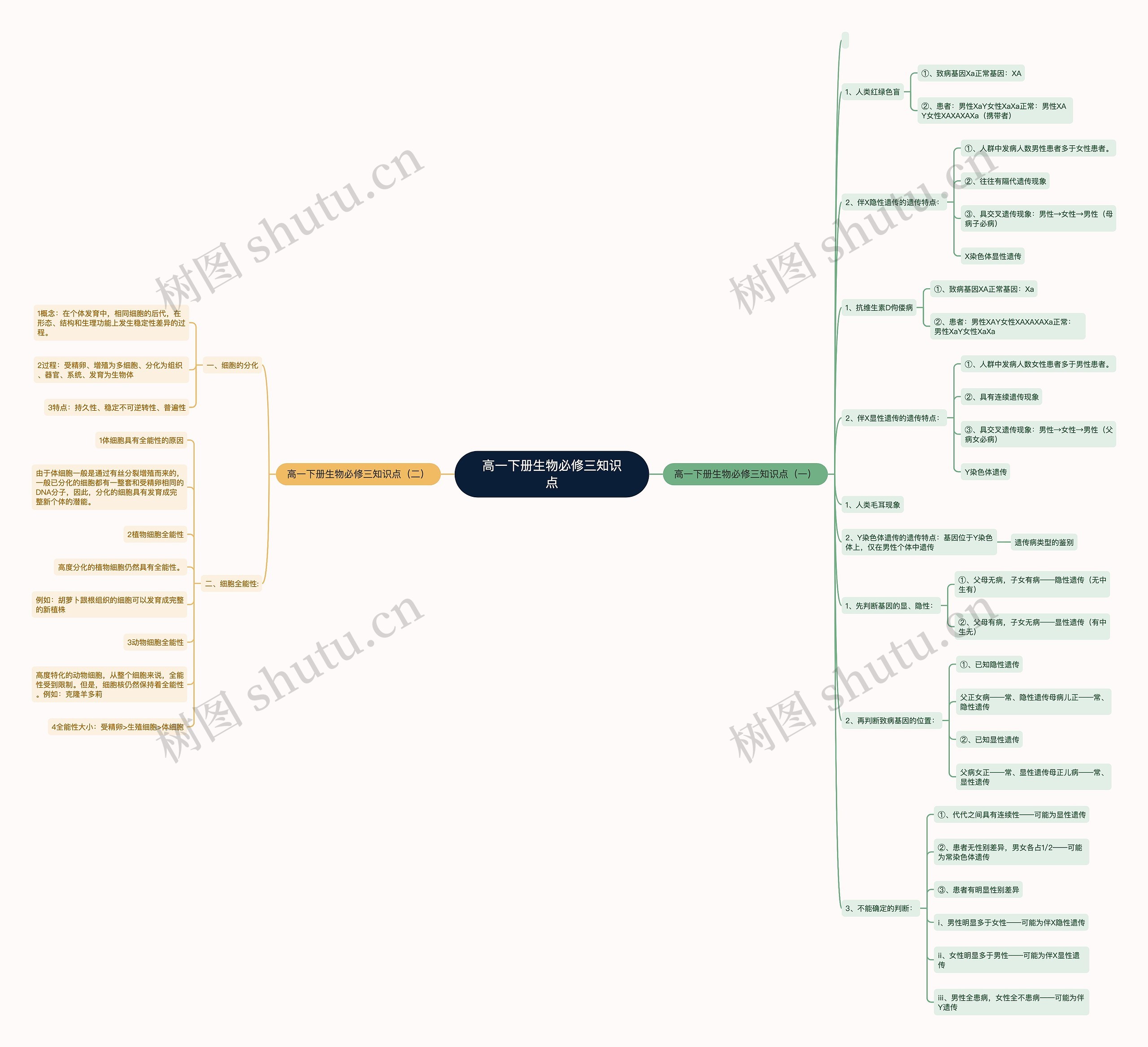 高一下册生物必修三知识点思维导图