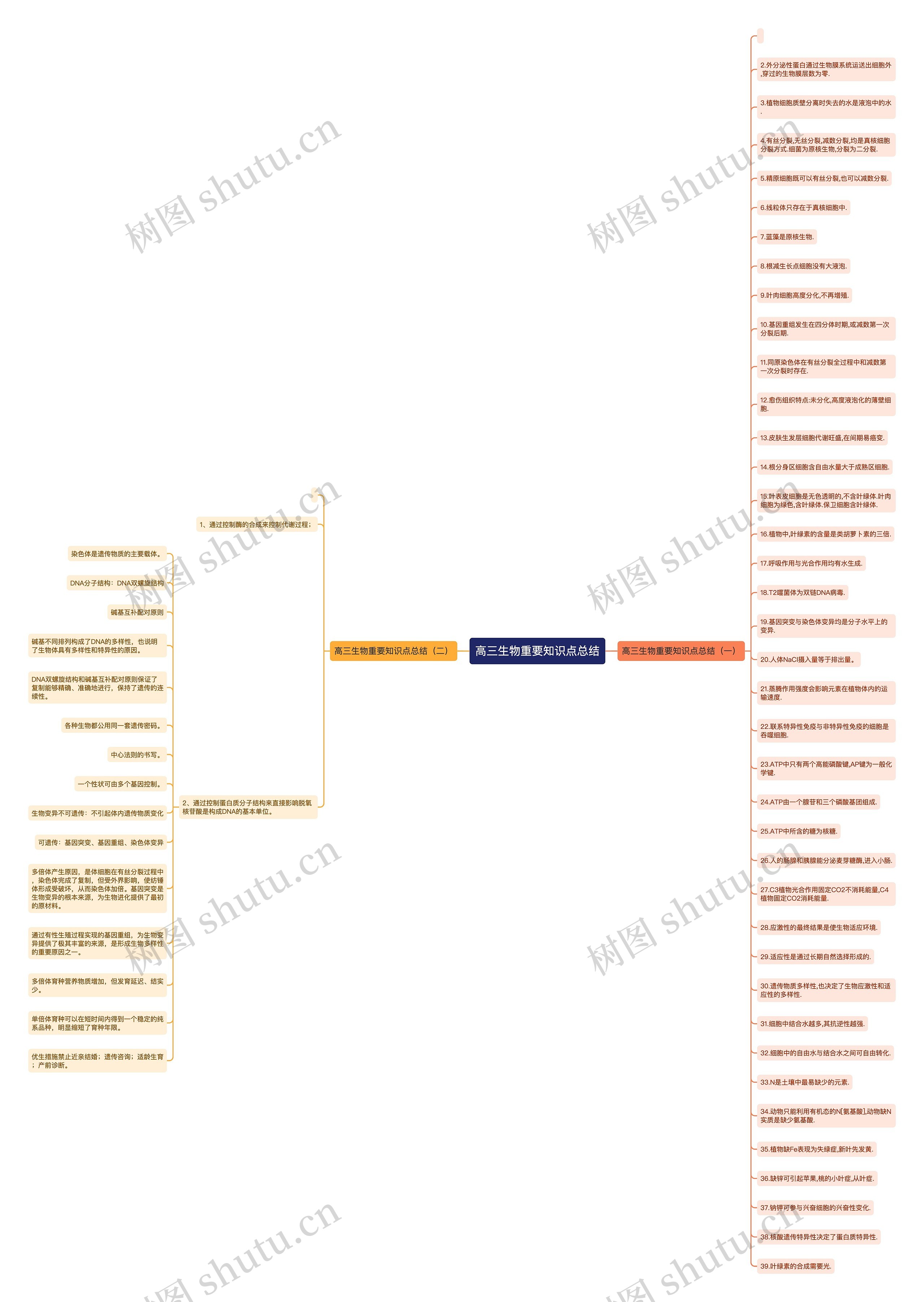 高三生物重要知识点总结思维导图