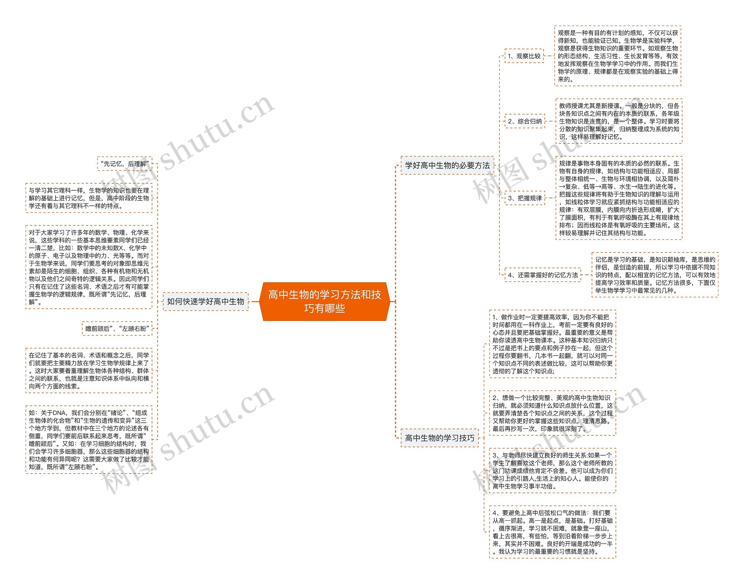 高中生物的学习方法和技巧有哪些思维导图