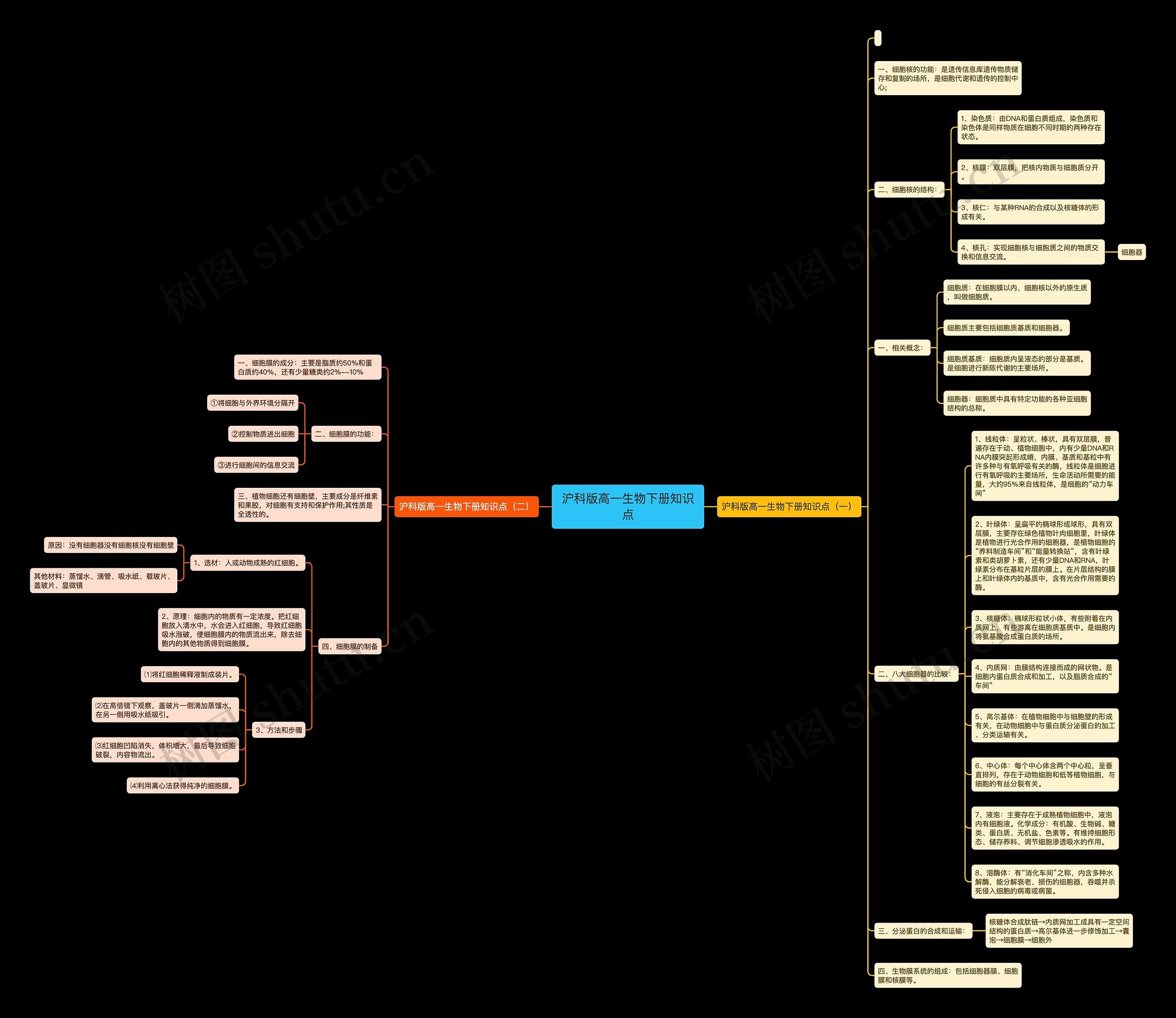 沪科版高一生物下册知识点思维导图