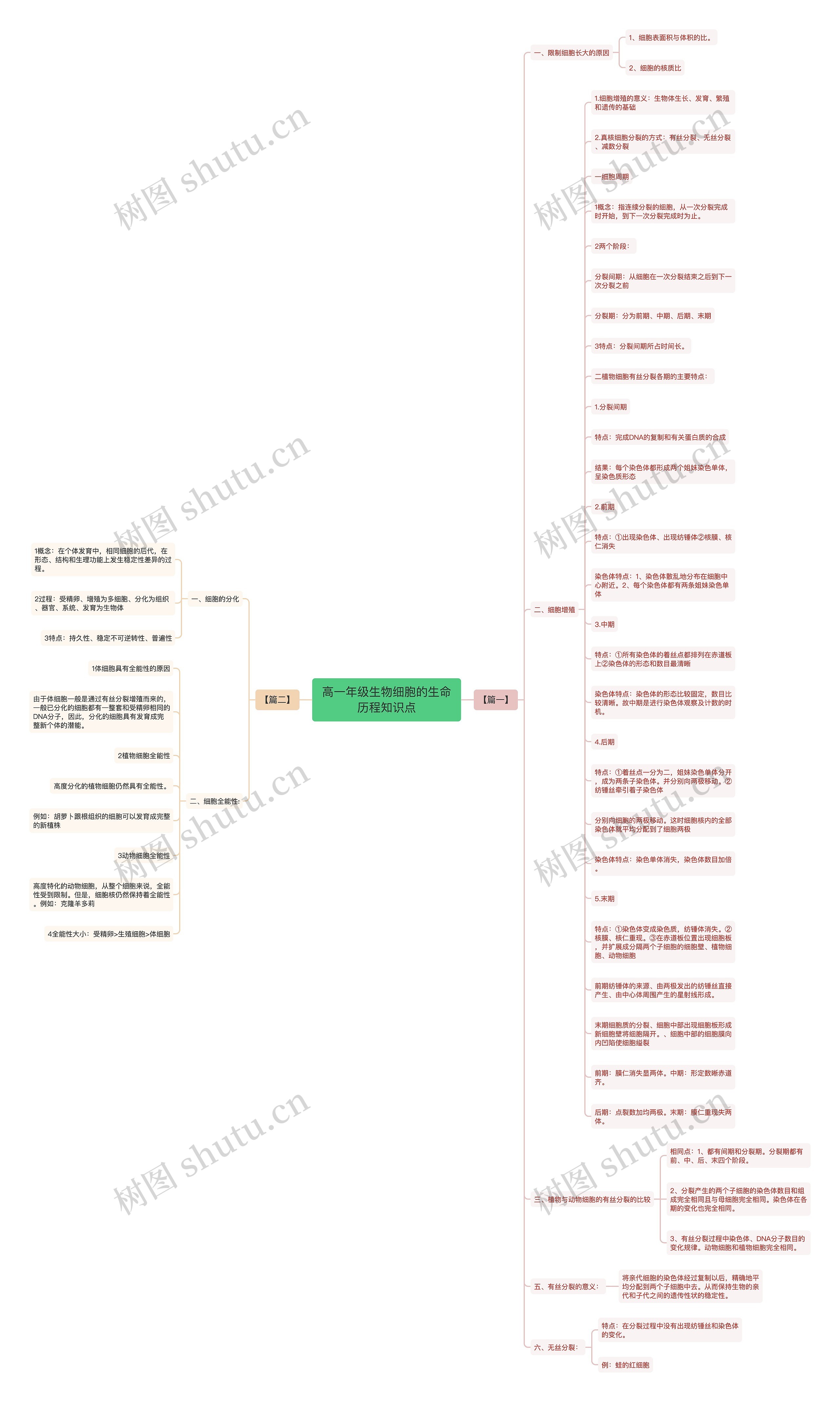 高一年级生物细胞的生命历程知识点思维导图