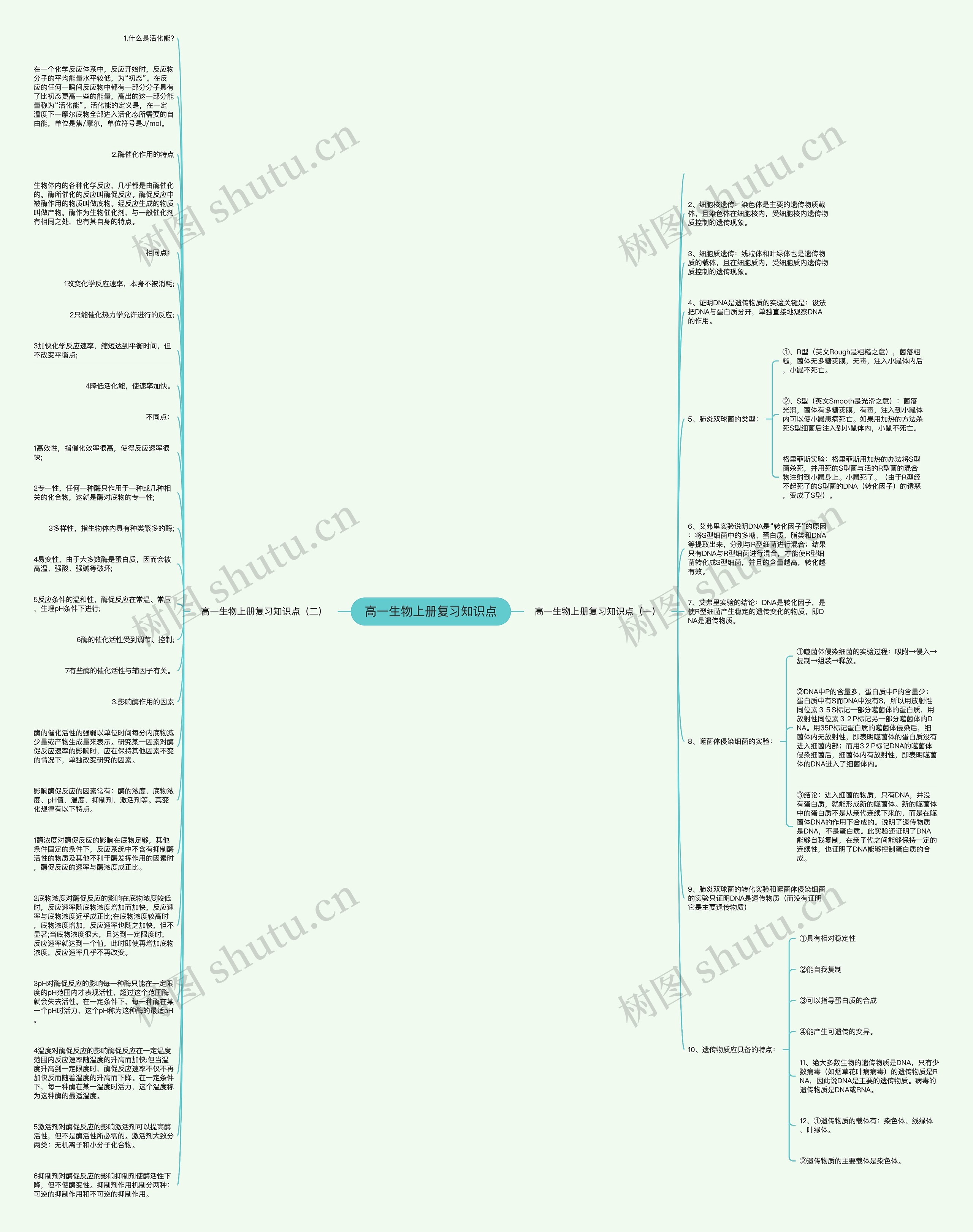 高一生物上册复习知识点思维导图