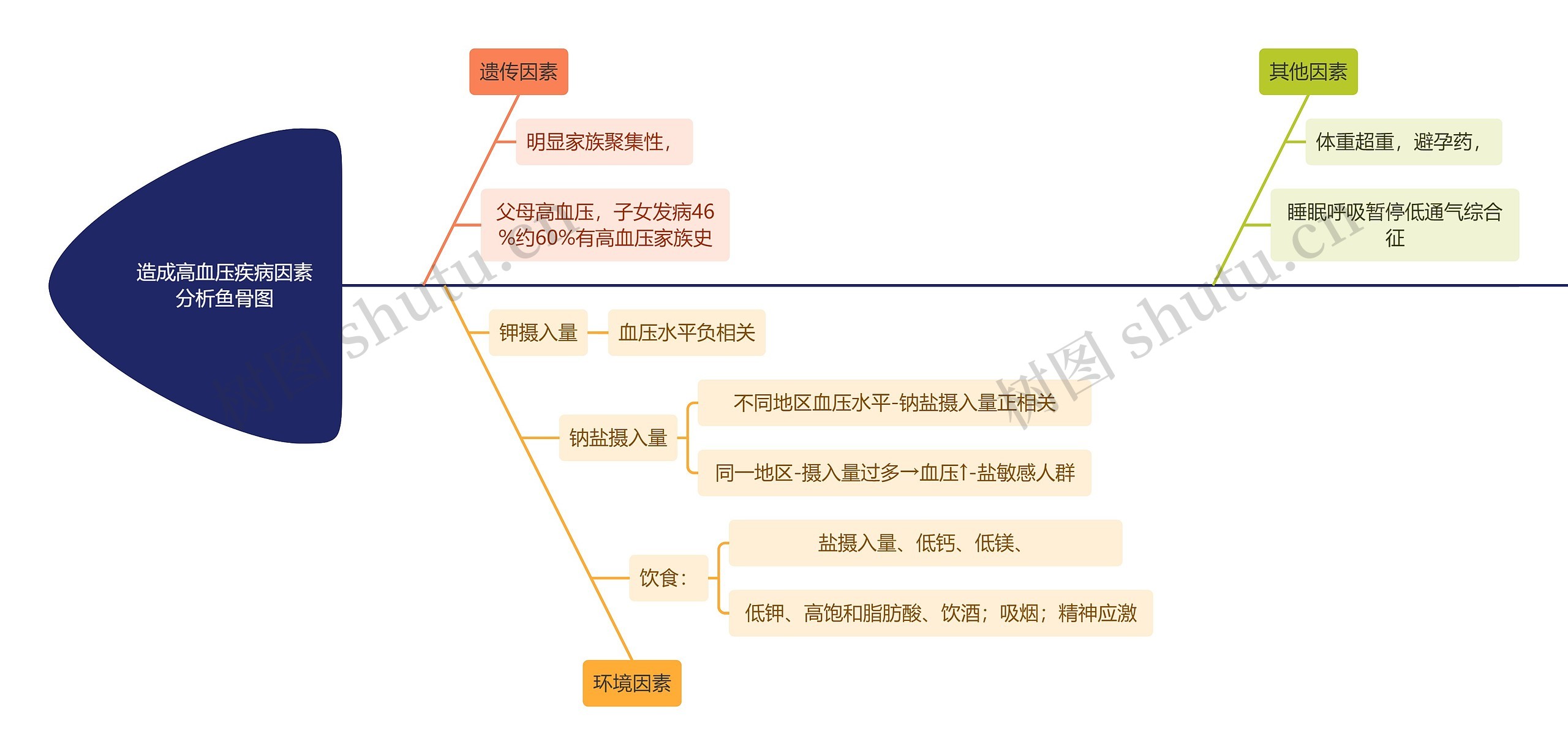 造成高血压疾病因素分析鱼骨图