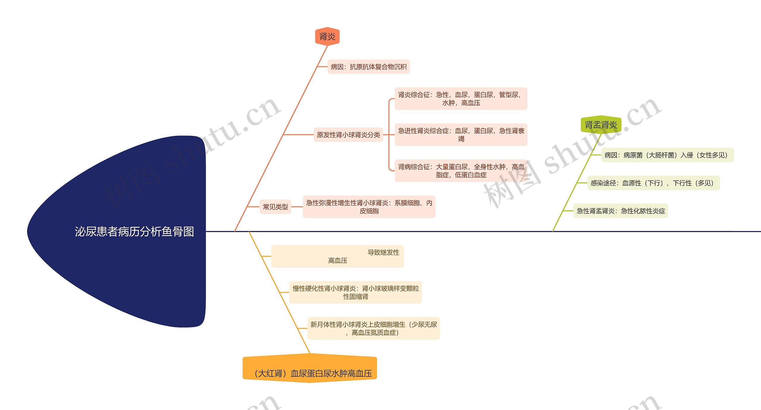 泌尿患者病历分析鱼骨图