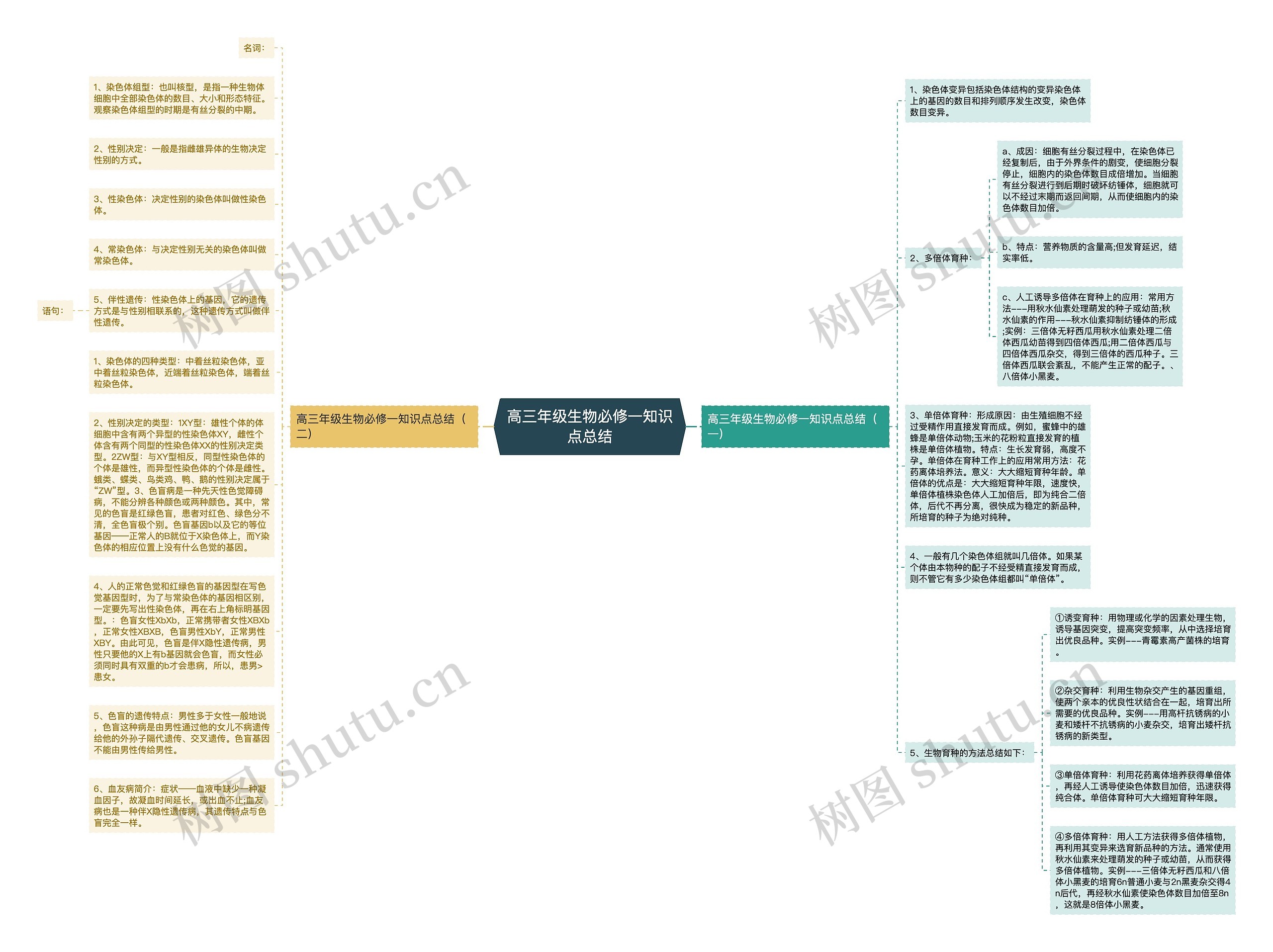 高三年级生物必修一知识点总结思维导图