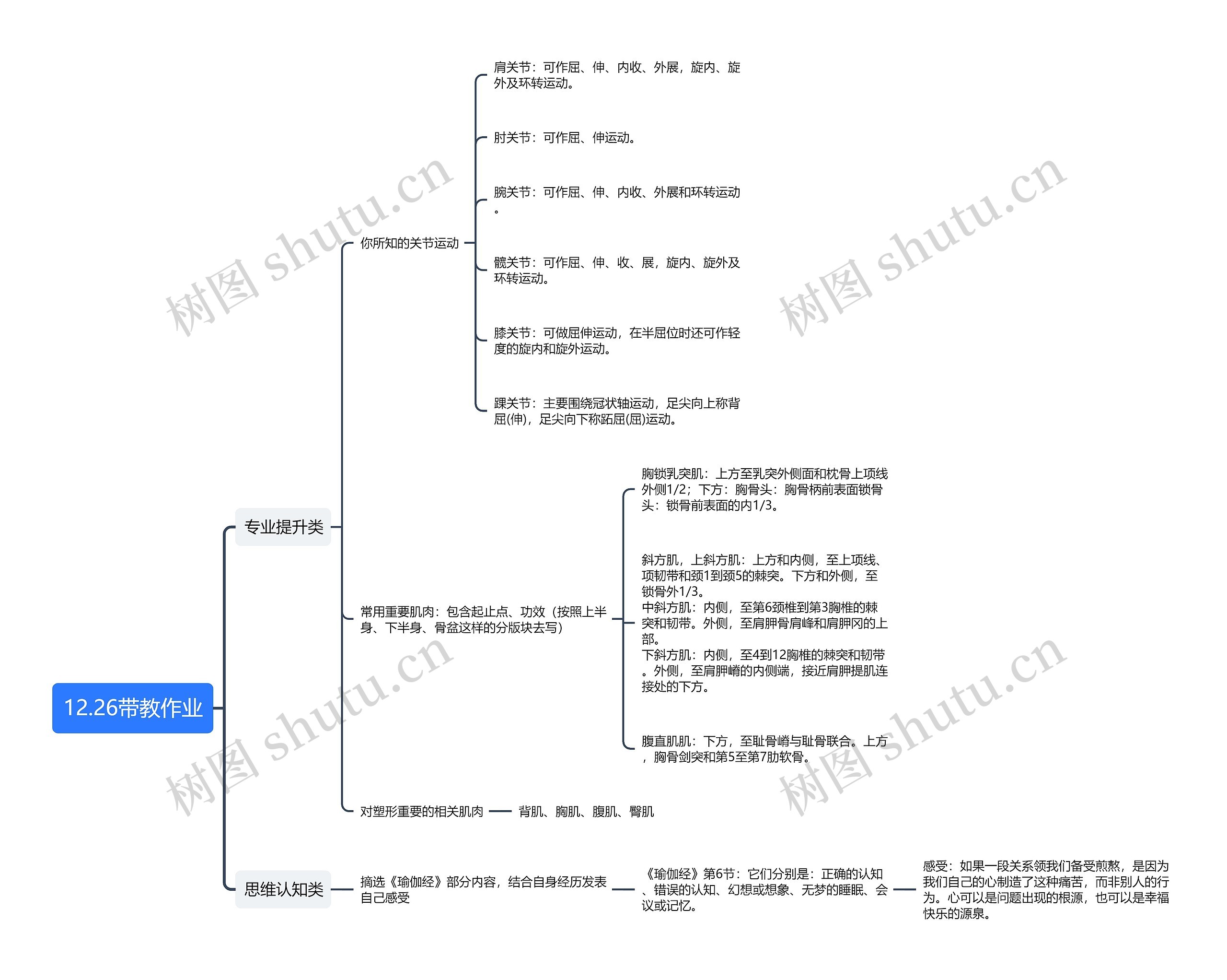 ﻿12.26带教作业思维导图