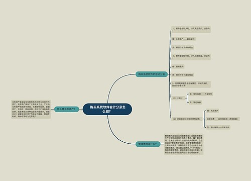  购买系统软件会计分录怎么做？