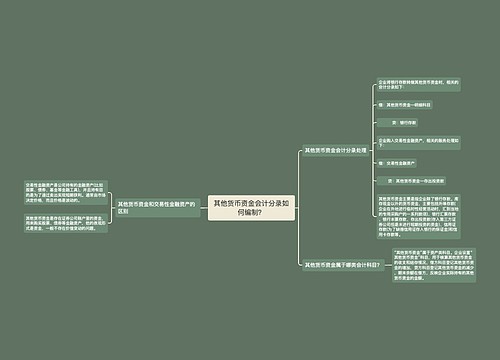 其他货币资金会计分录如何编制？思维导图