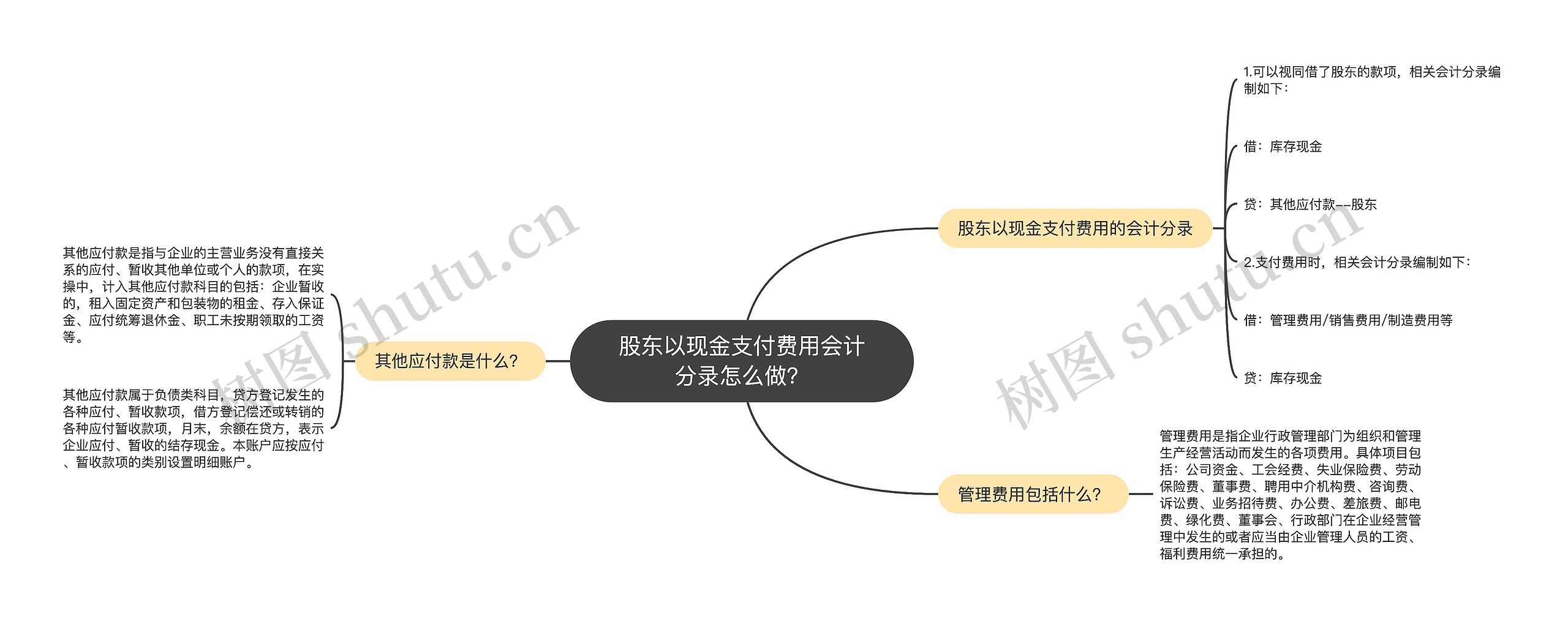 股东以现金支付费用会计分录怎么做？思维导图