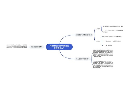 计提缴纳社会保险费账务处理是什么？