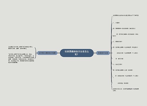 社保费缴纳会计分录怎么写？