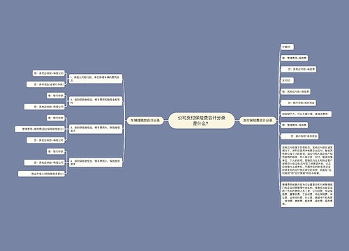 公司支付保险费会计分录是什么？思维导图