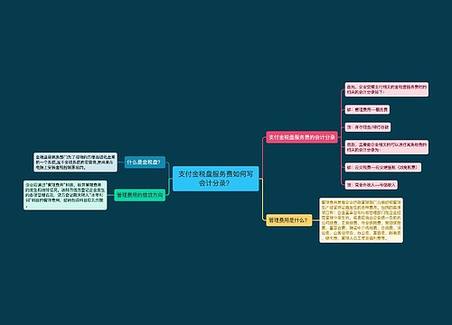 支付金税盘服务费如何写会计分录？思维导图