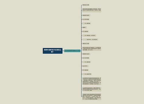 政府补助的会计分录怎么做？思维导图