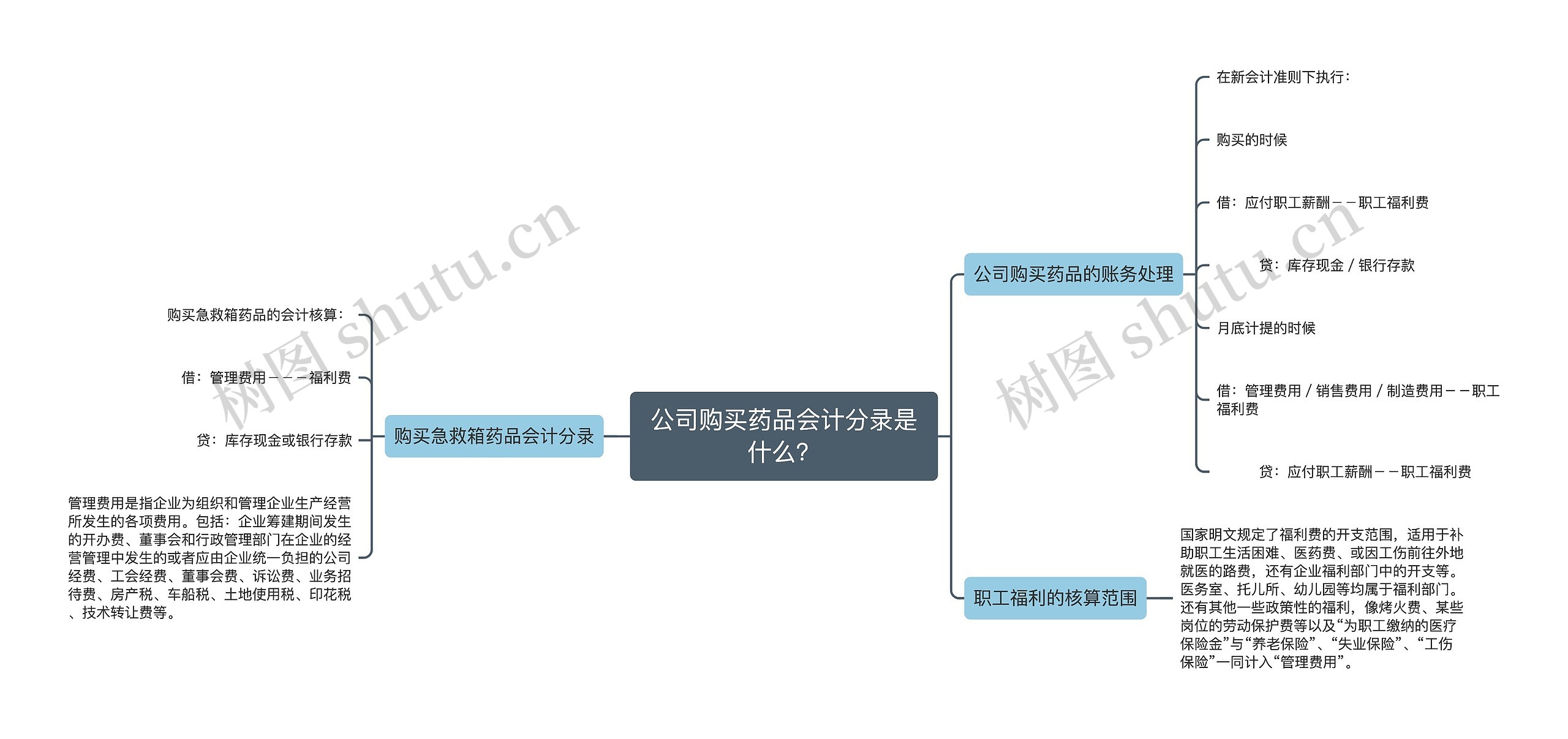 公司购买药品会计分录是什么？思维导图