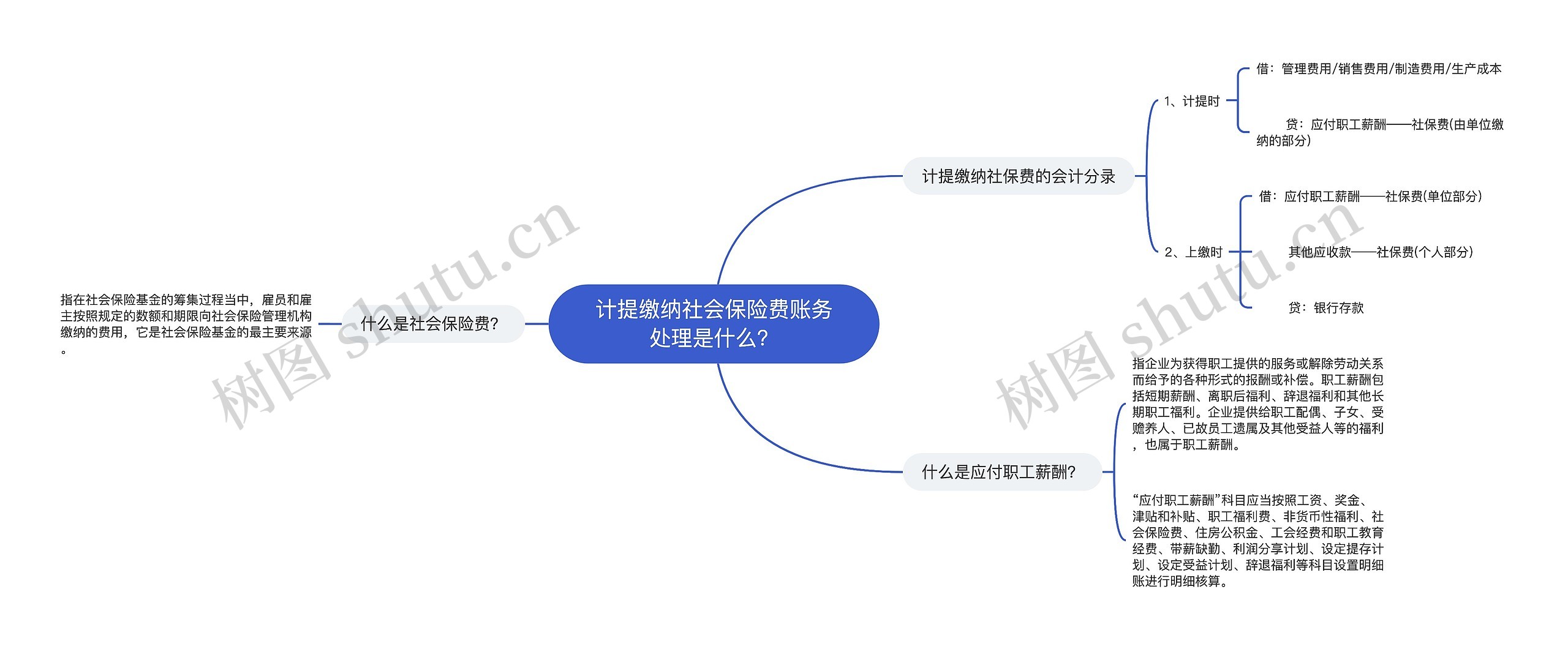 计提缴纳社会保险费账务处理是什么？