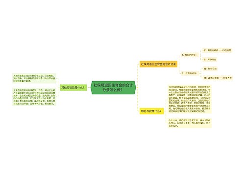 社保局退回生育金的会计分录怎么做？