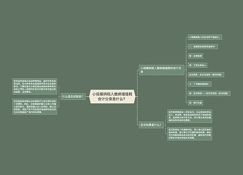 小规模纳税人缴纳增值税会计分录是什么？思维导图