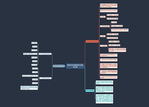 资本化支出相关会计分录怎么做思维导图
