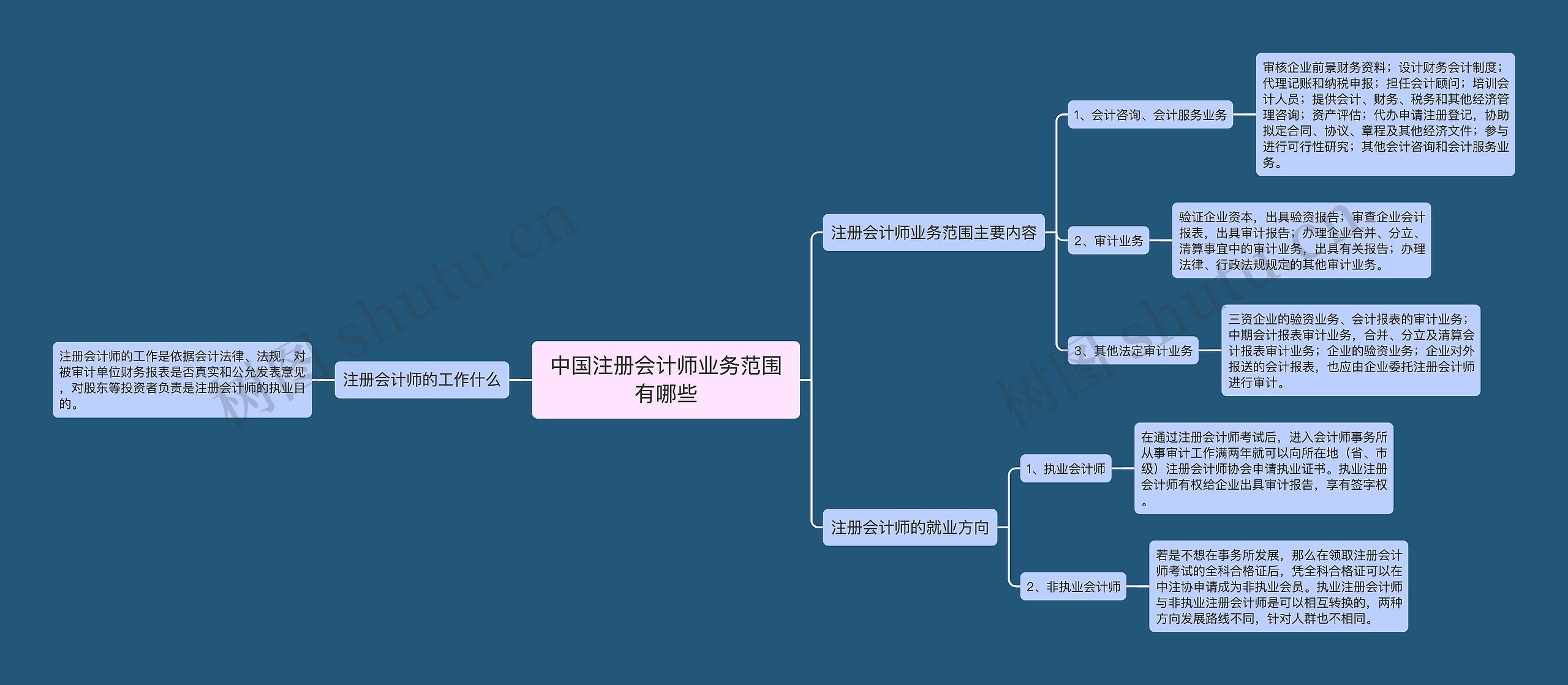 中国注册会计师业务范围有哪些