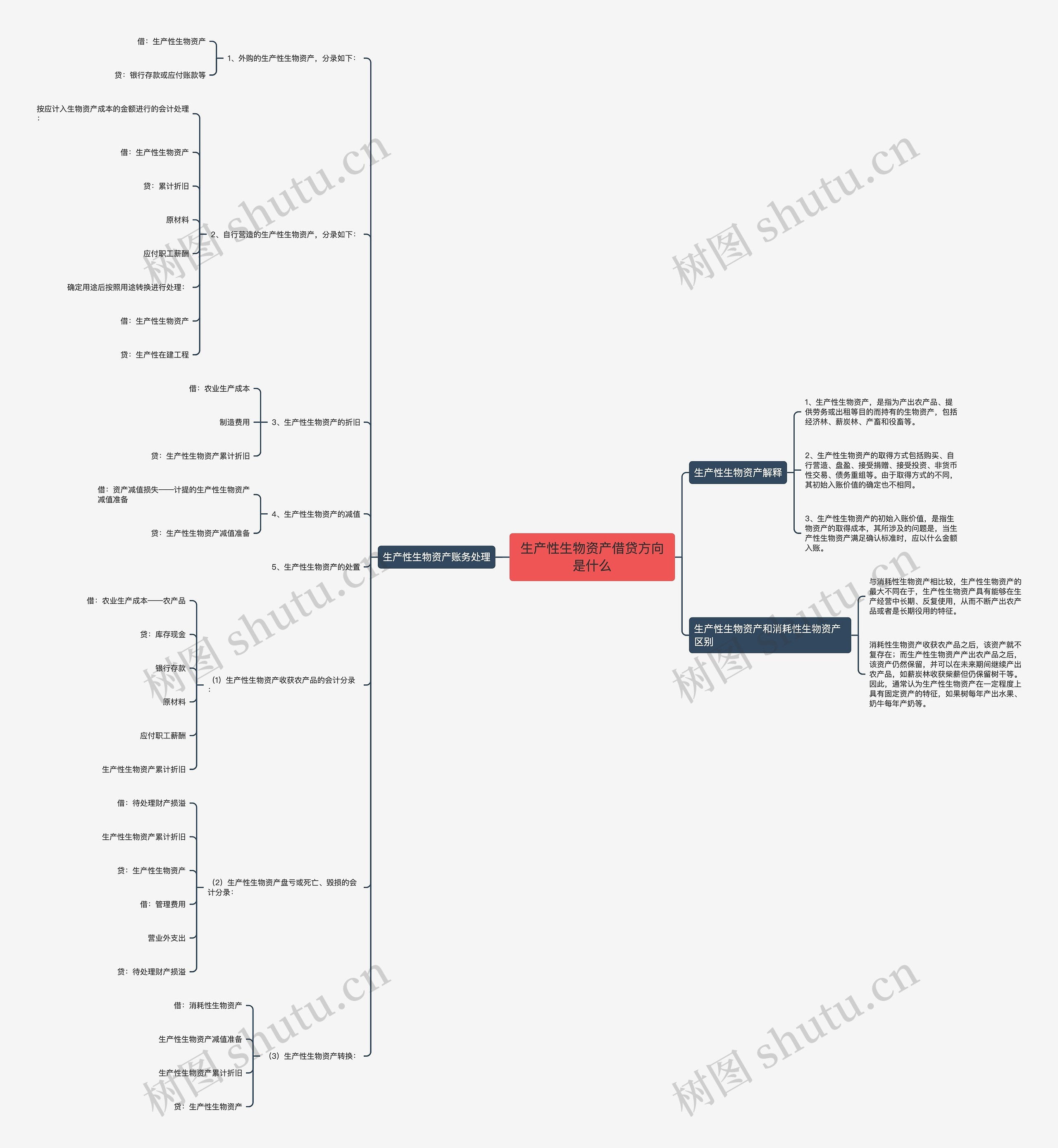 生产性生物资产借贷方向是什么思维导图