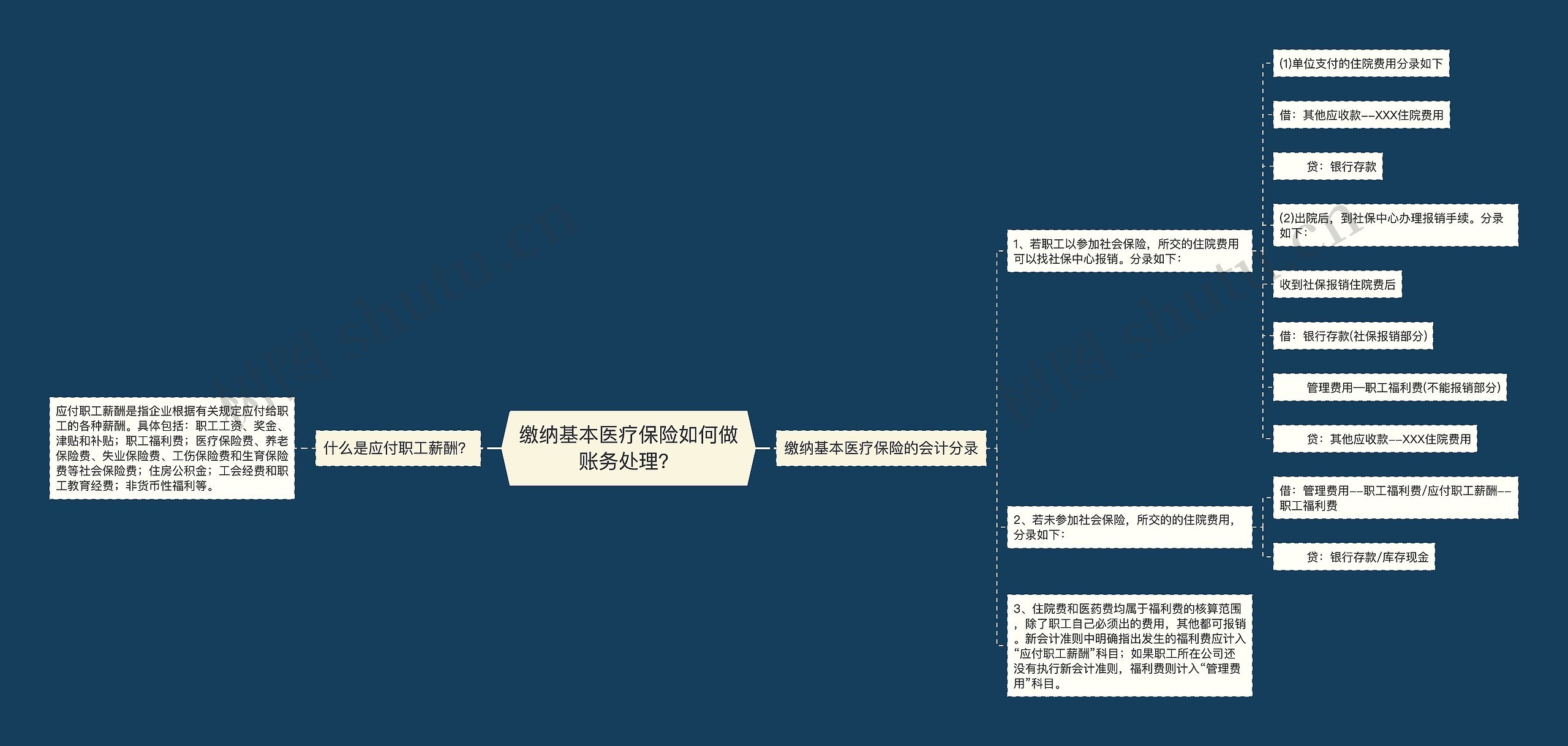 缴纳基本医疗保险如何做账务处理？思维导图