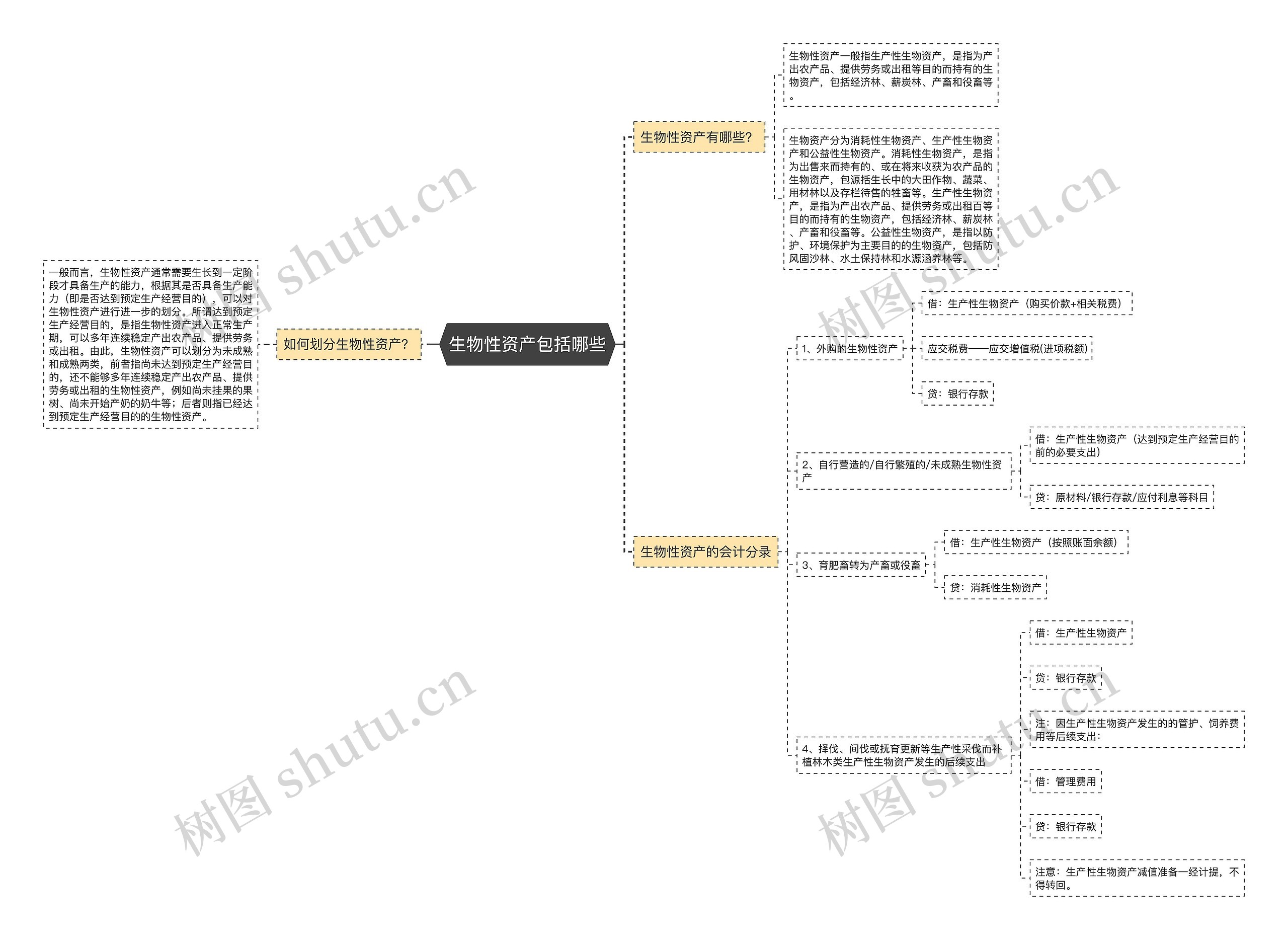 生物性资产包括哪些思维导图