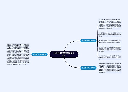 税务会计的基本前提是什么？