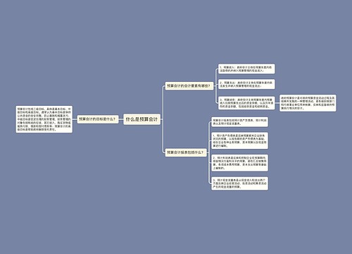 什么是预算会计