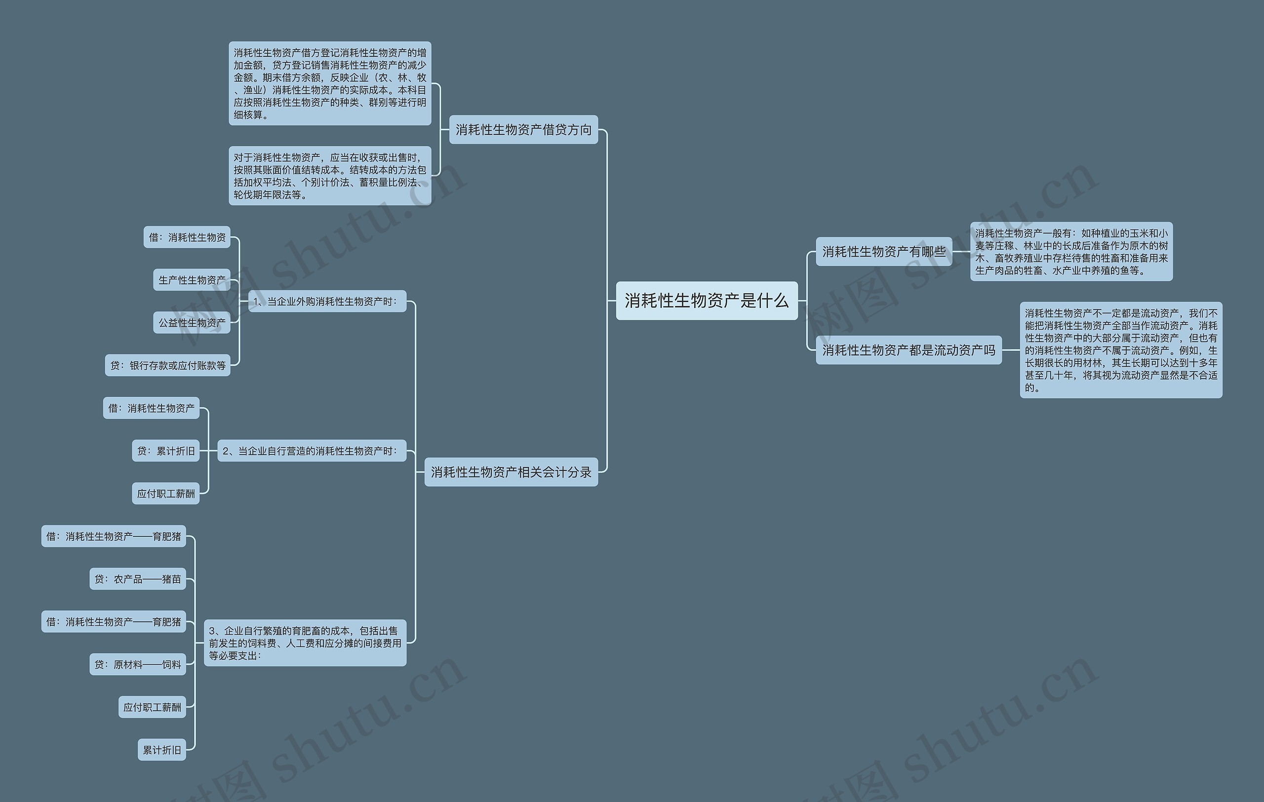 消耗性生物资产是什么思维导图